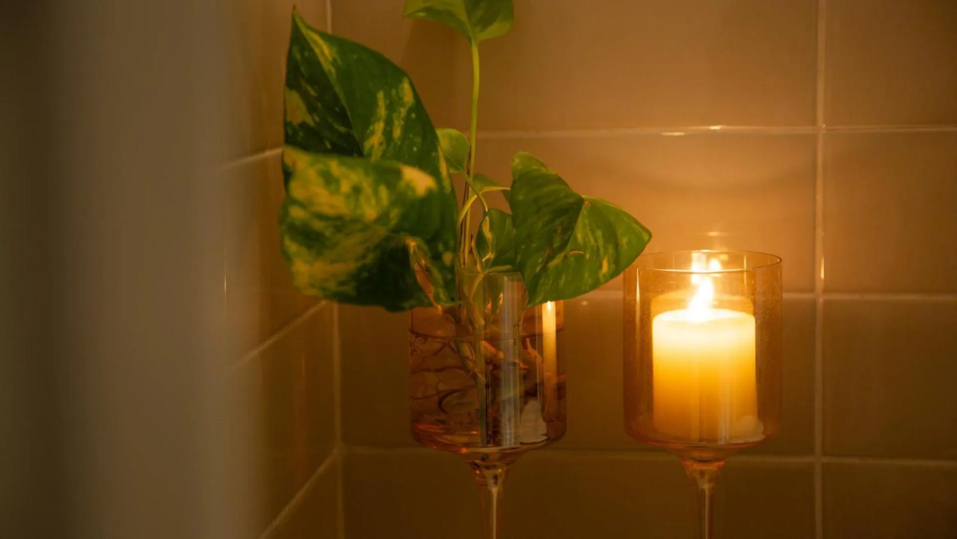 Decorative detail in Good Morning Bologna