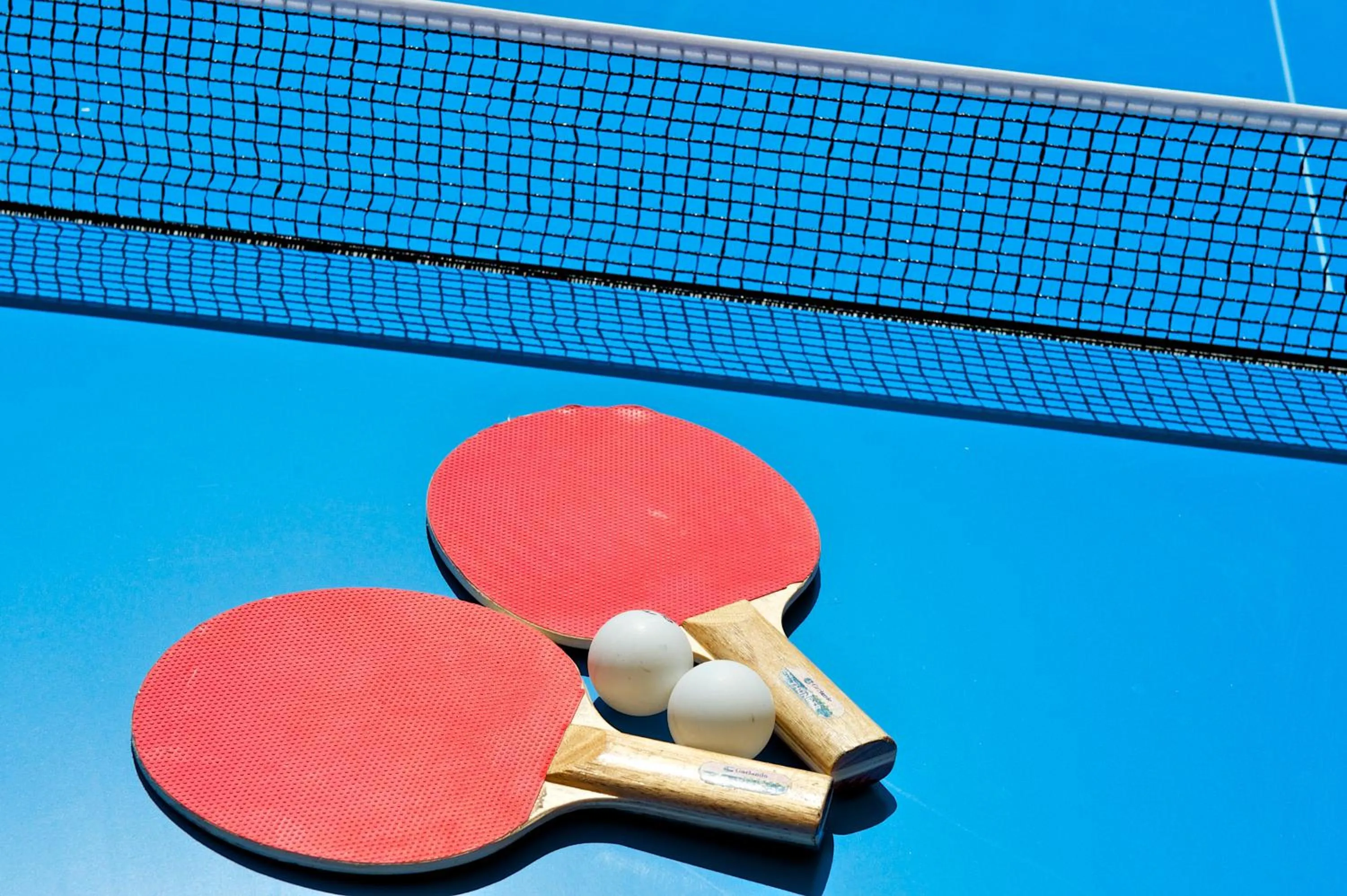 Table tennis in Hotel Mercure Milano Solari