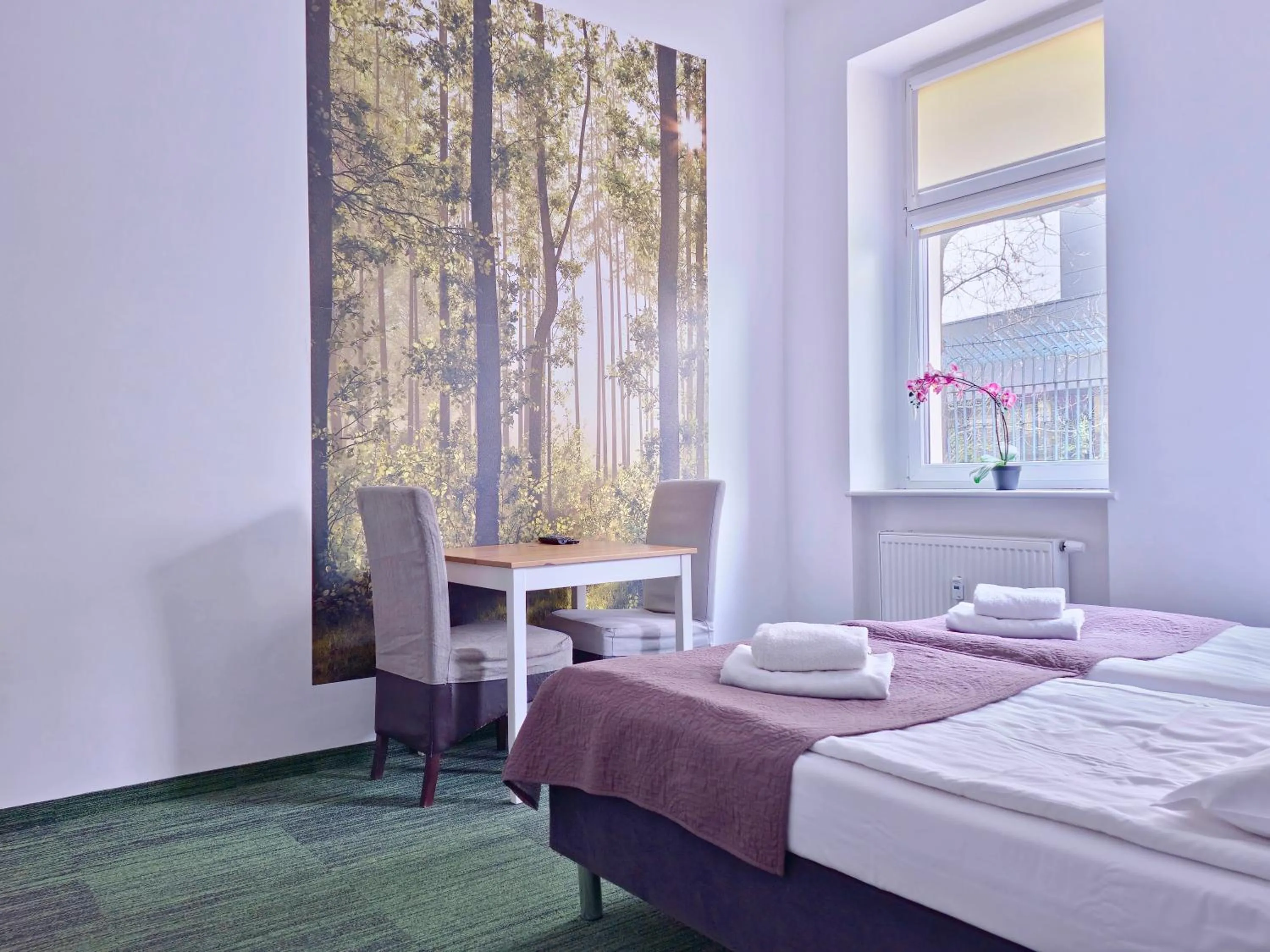 Photo of the whole room, Bed in Apartamenty Velvet