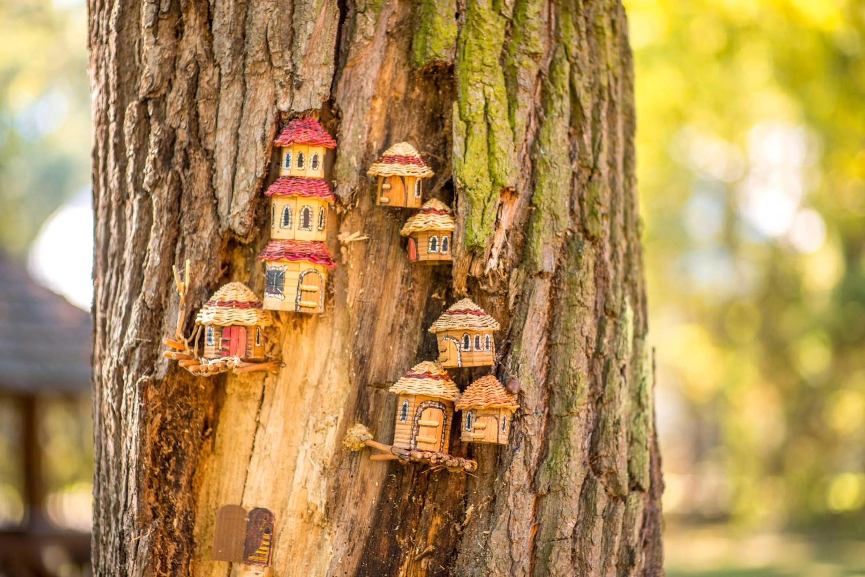 Entertainment in Drevny Grad Park-hotel