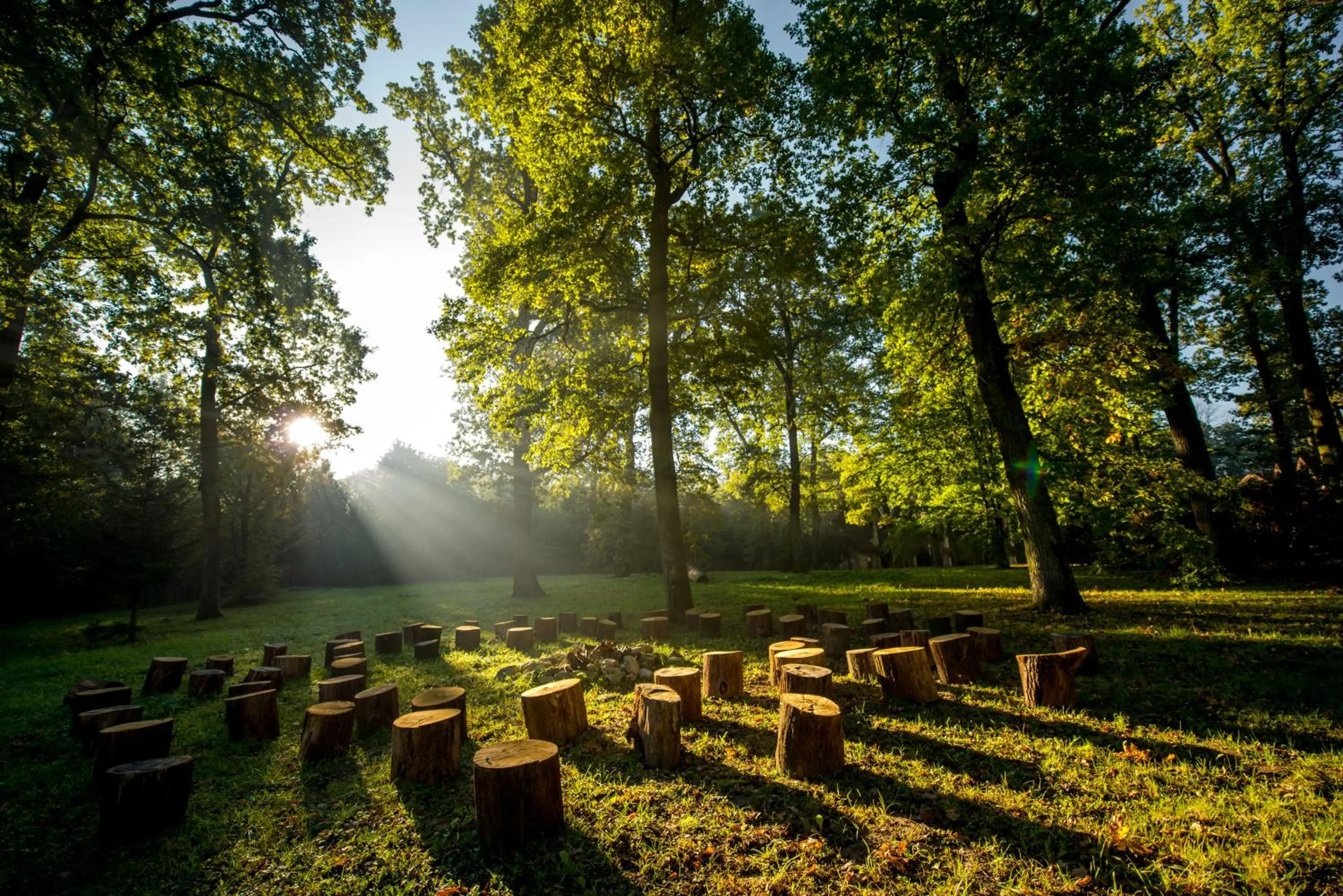 Garden in Drevny Grad Park-hotel