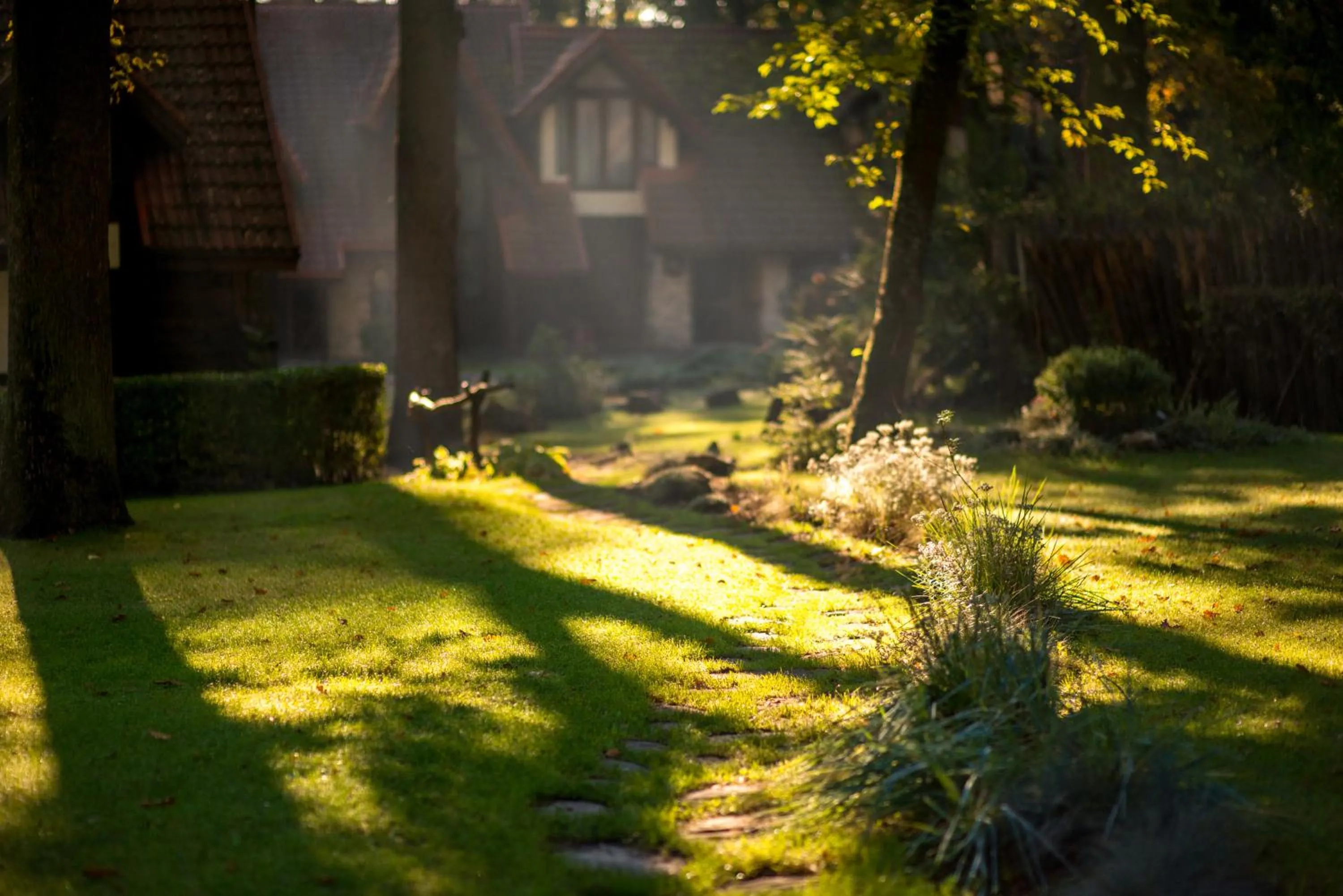 Garden in Drevny Grad Park-hotel