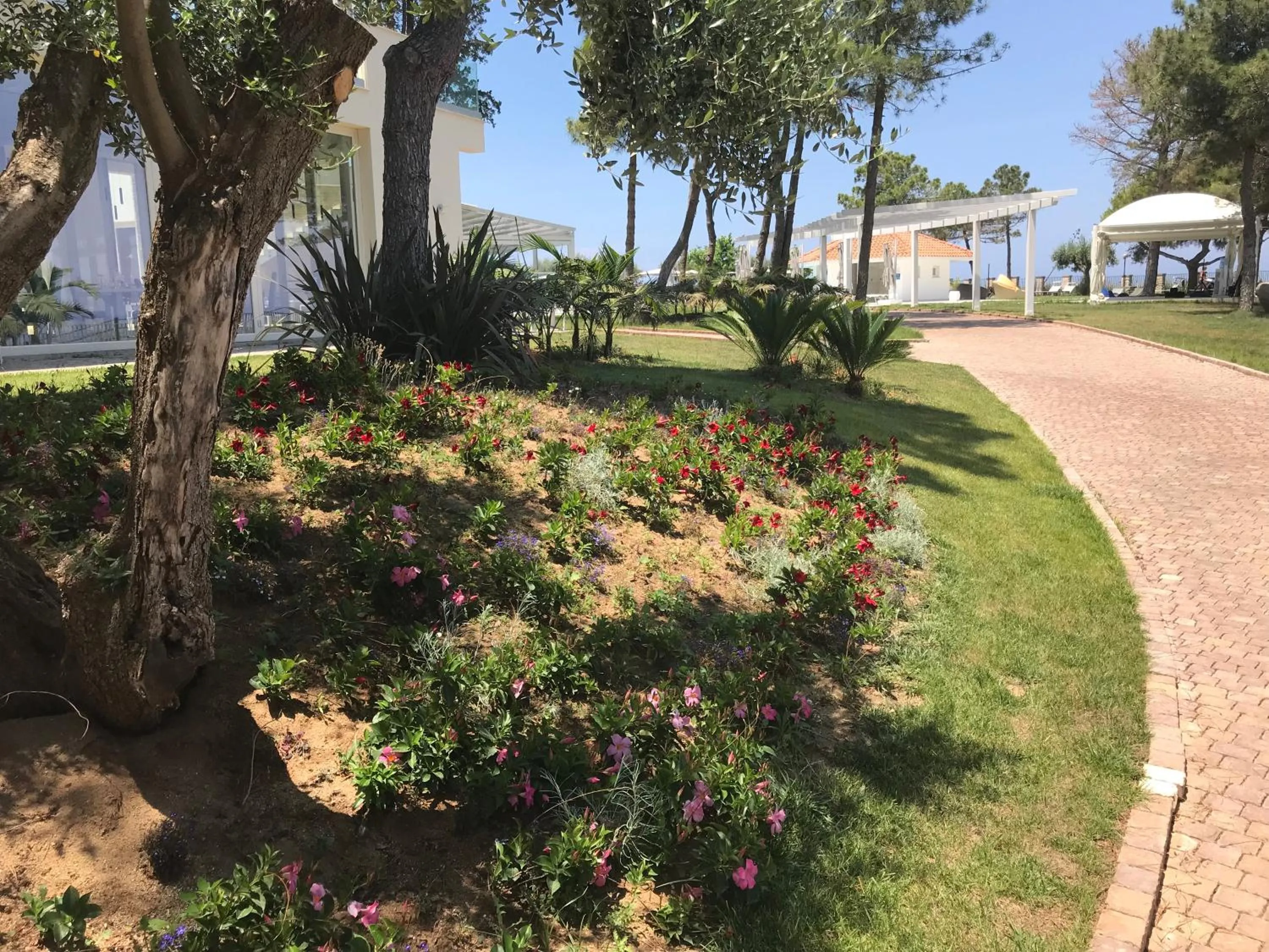 Garden in TUI BLUE Tropea