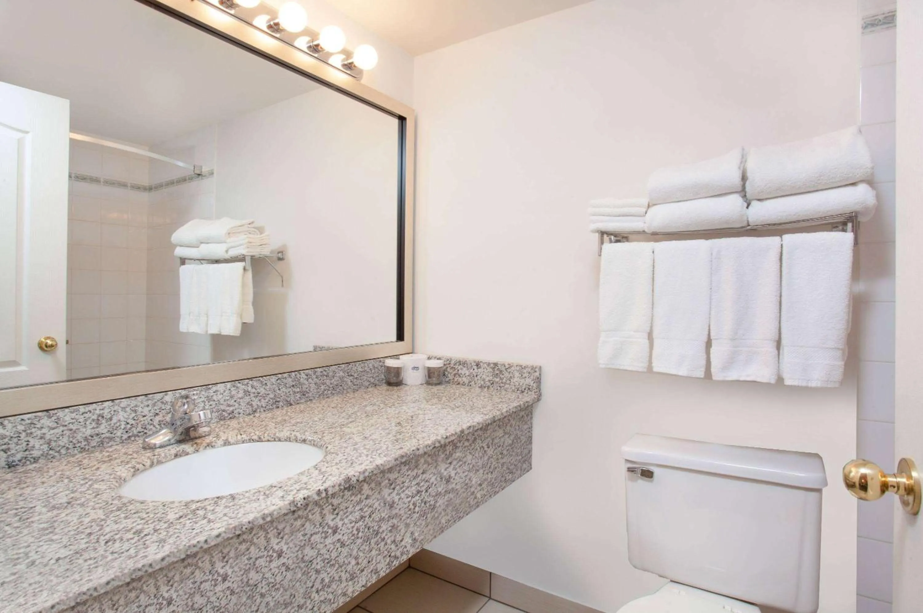 TV and multimedia in Ramada by Wyndham Red Deer Hotel & Suites