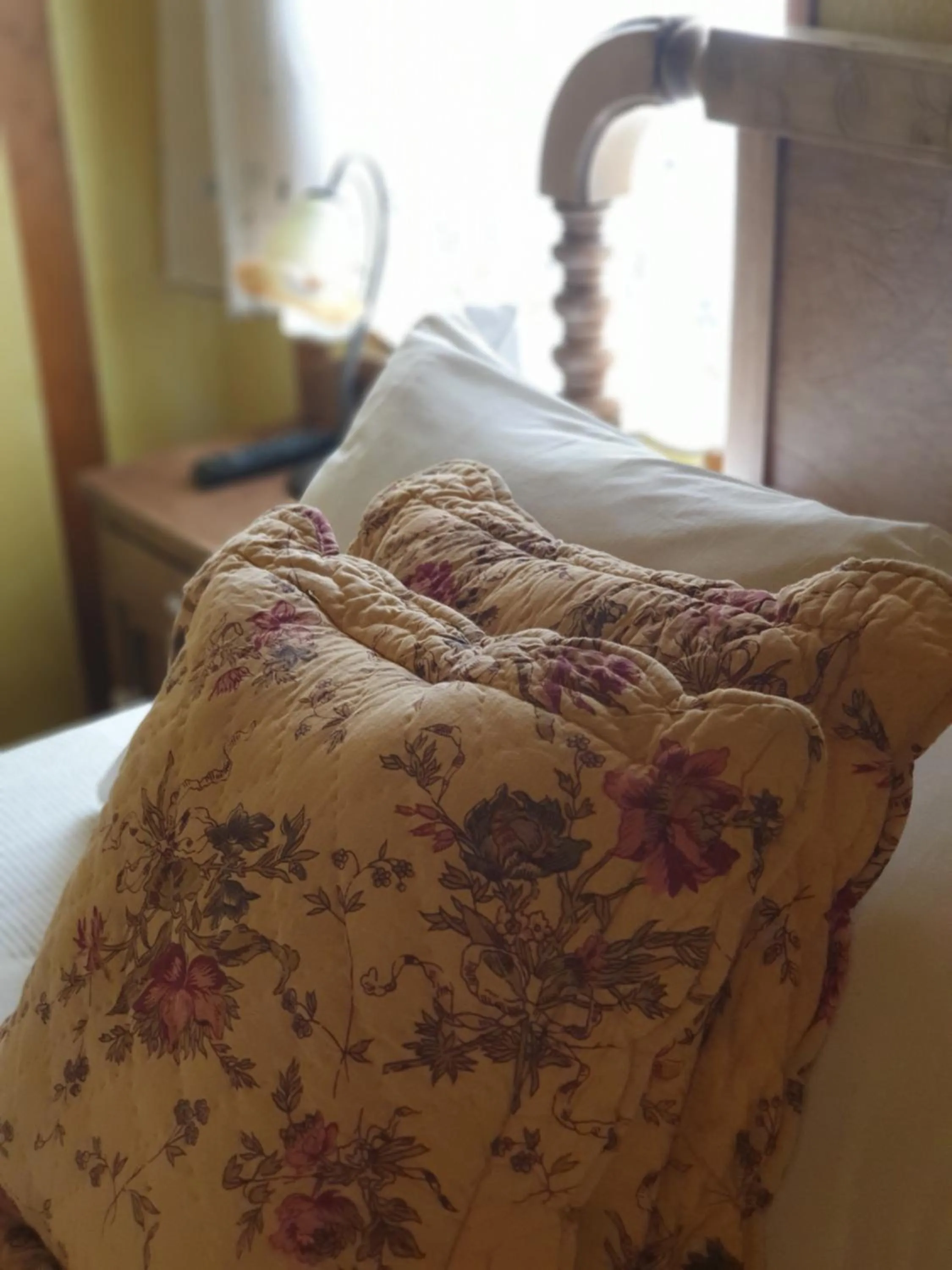 Spring, Bed in La Casina de Terobe