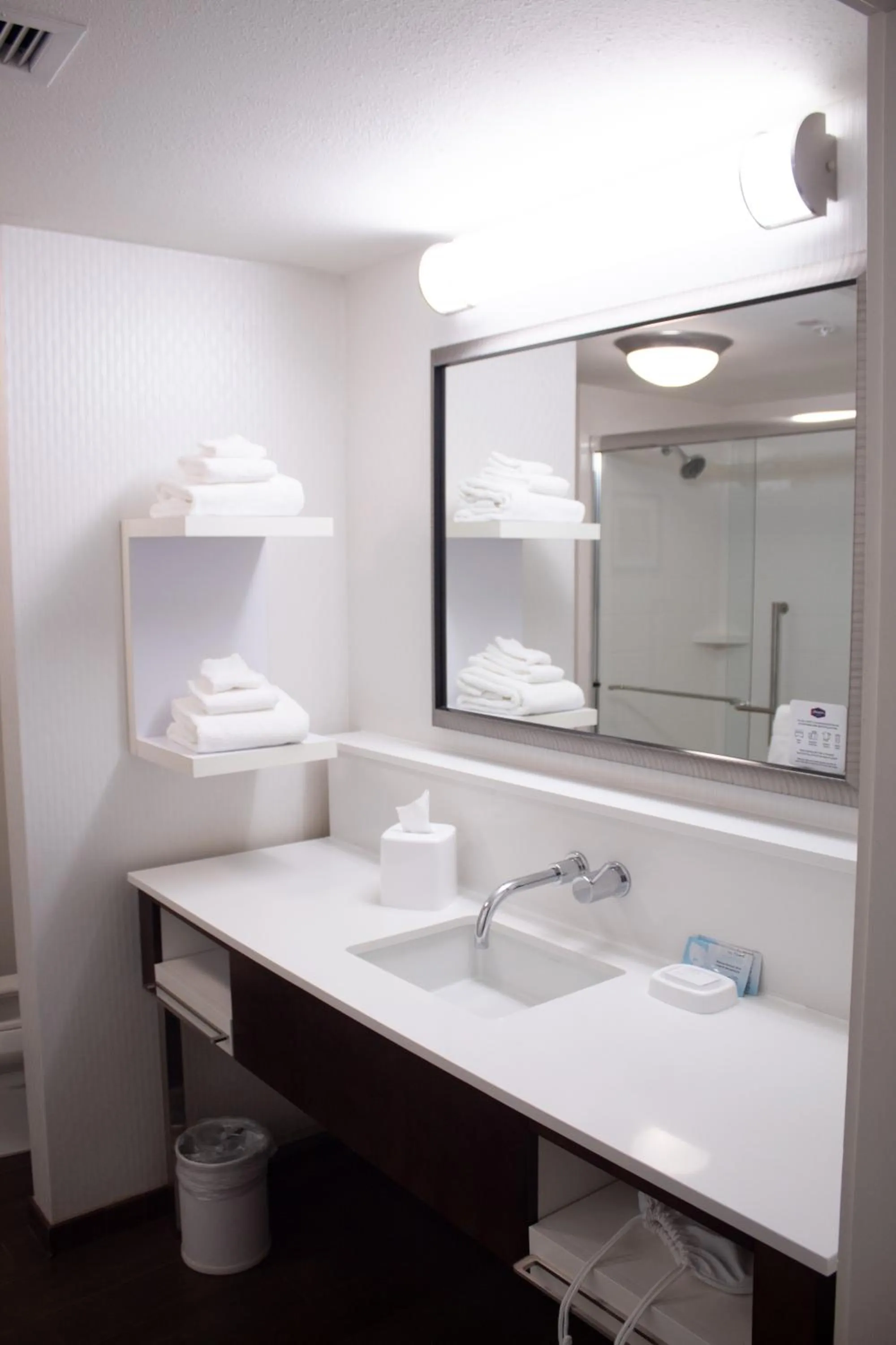 Hampton Inn & Suites Big Rapids, Mi