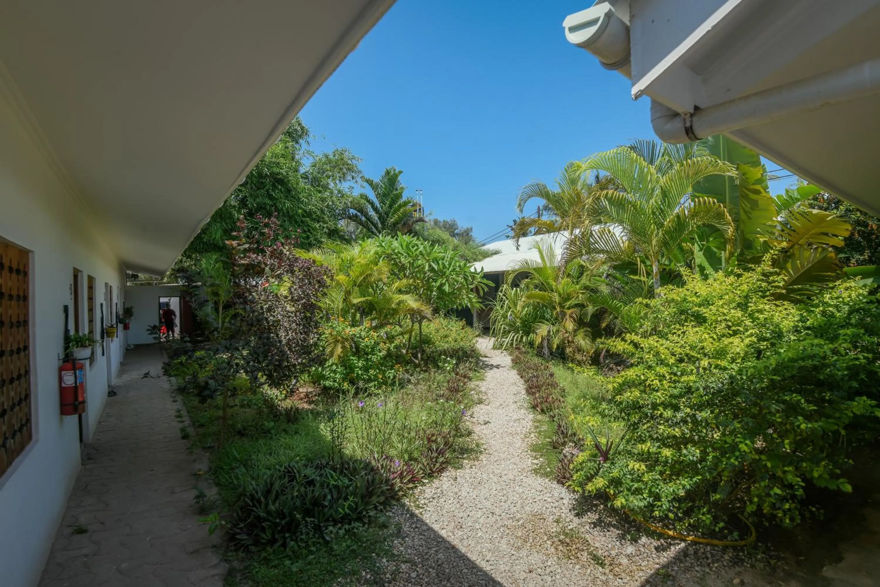 Garden in Nungwi House