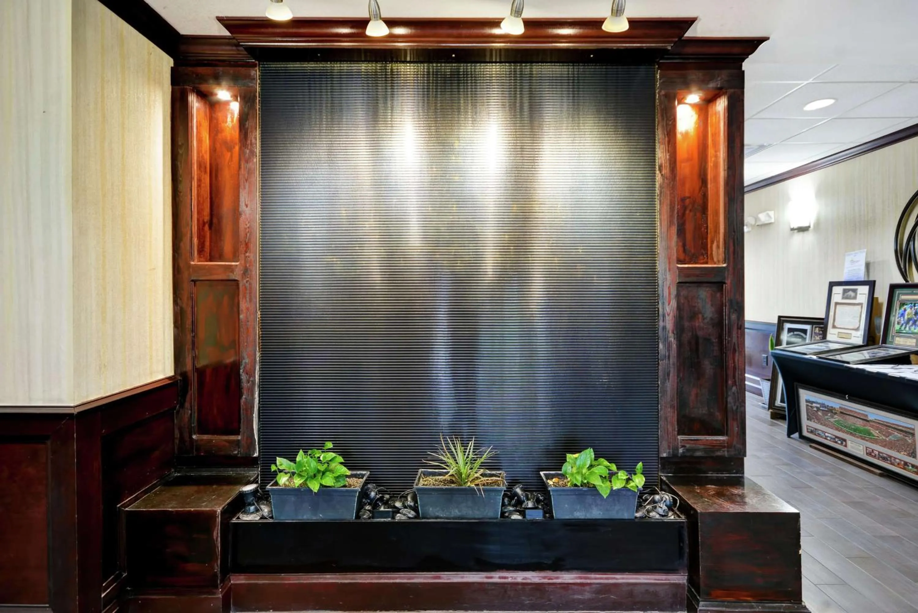 Lobby or reception in Hampton Inn & Suites San Antonio/Northeast I-35