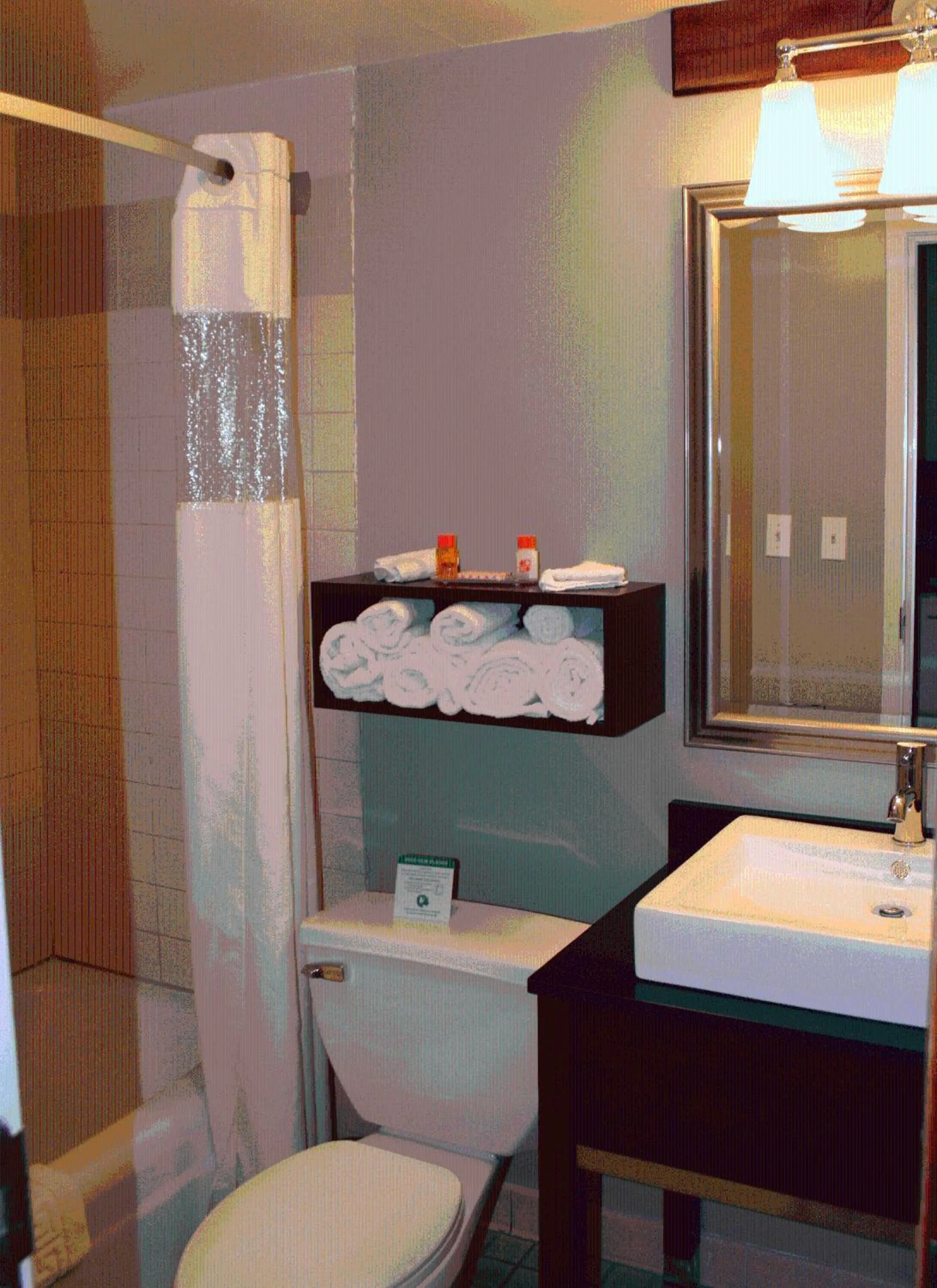 Toilet in Tiki Resort - Lake George