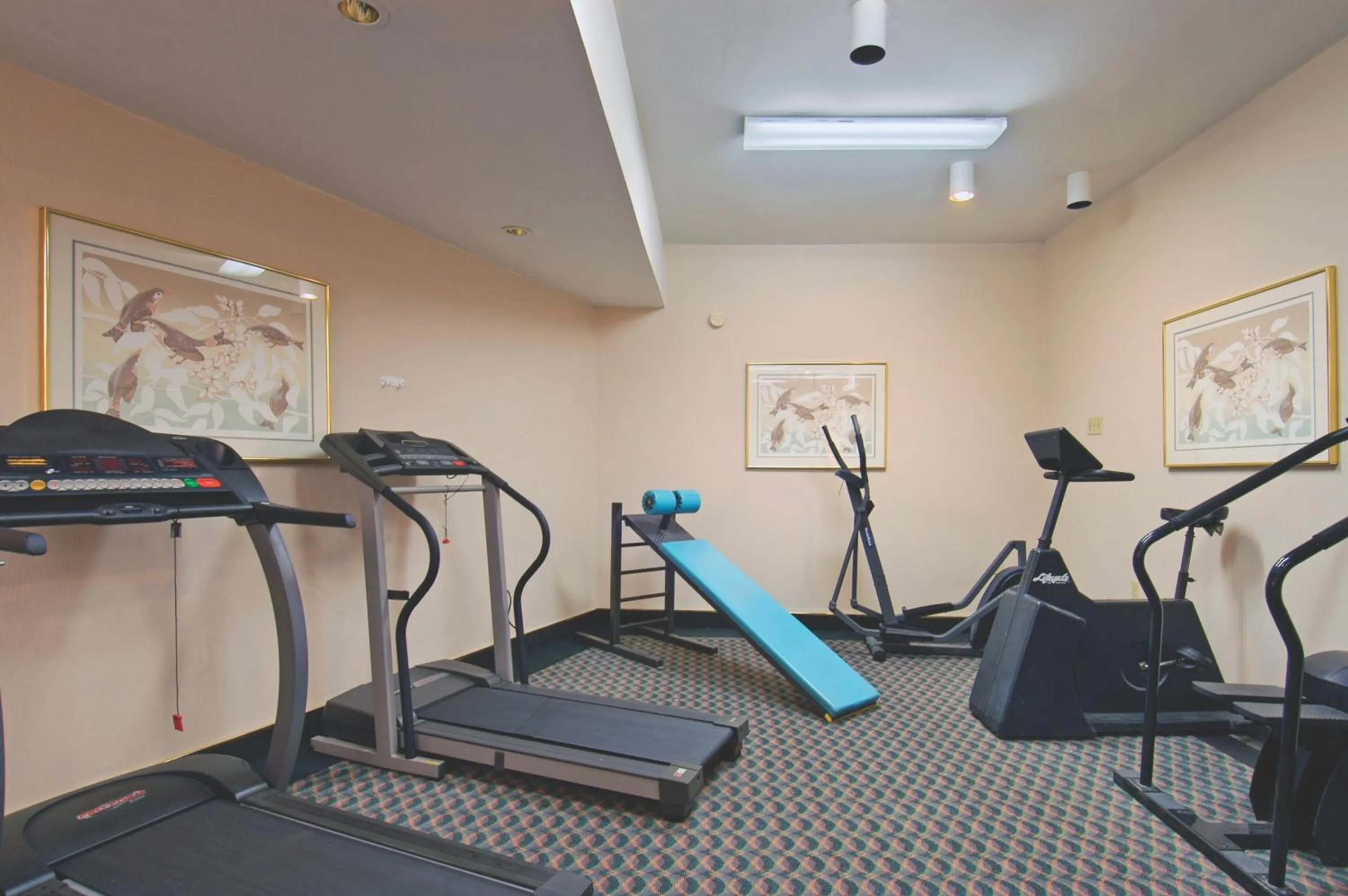 Fitness centre/facilities in Tiki Resort - Lake George