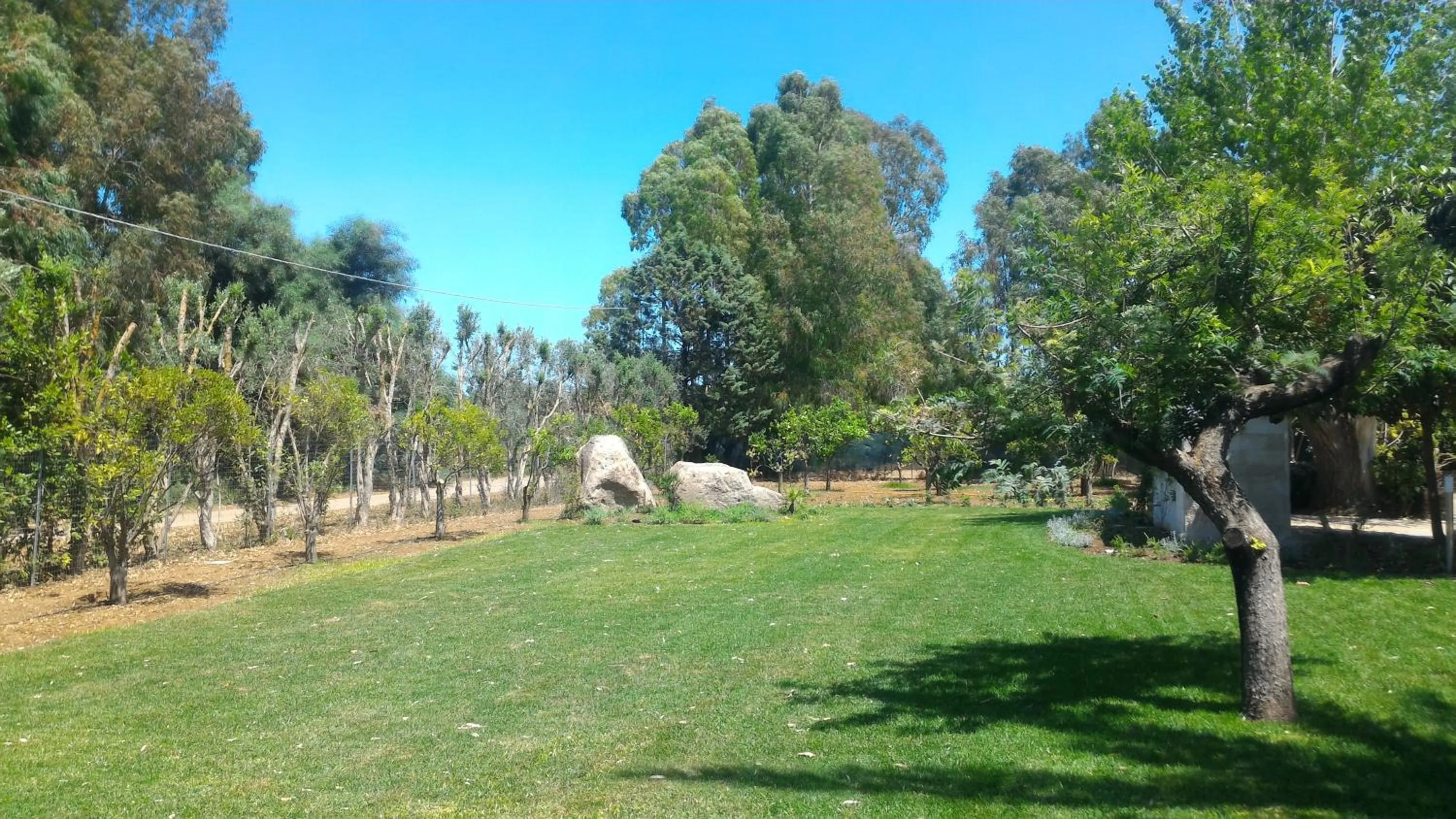 Garden in Villa Canu