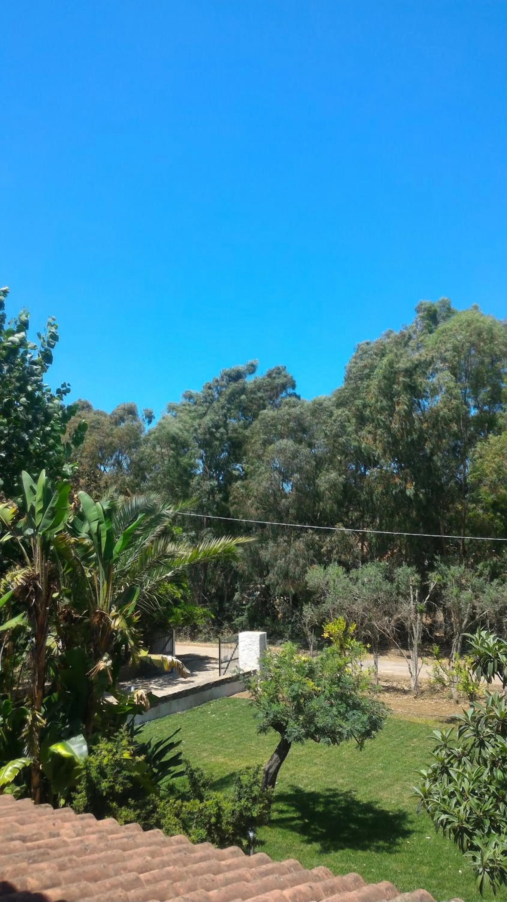 Garden view in Villa Canu