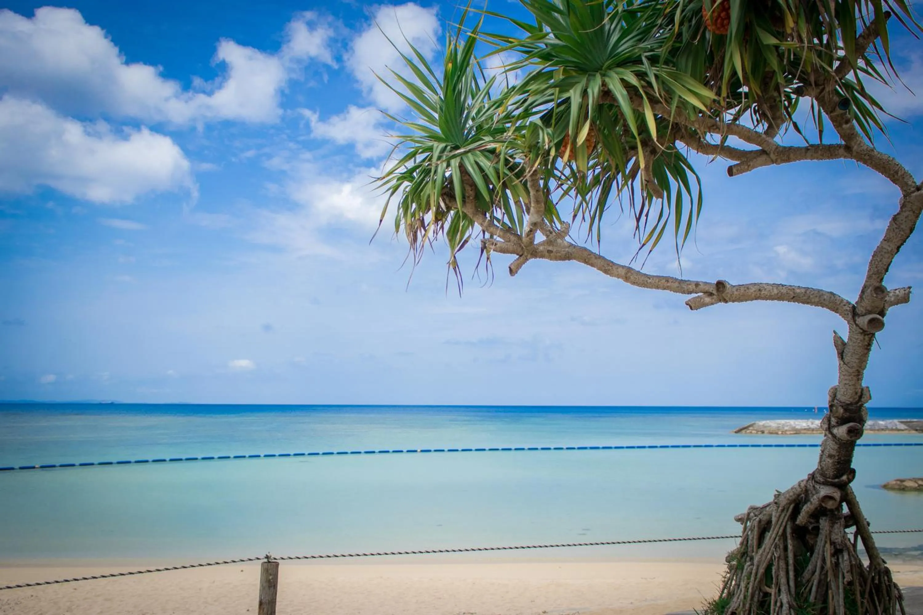 Nearby landmark in The Beach Tower Okinawa