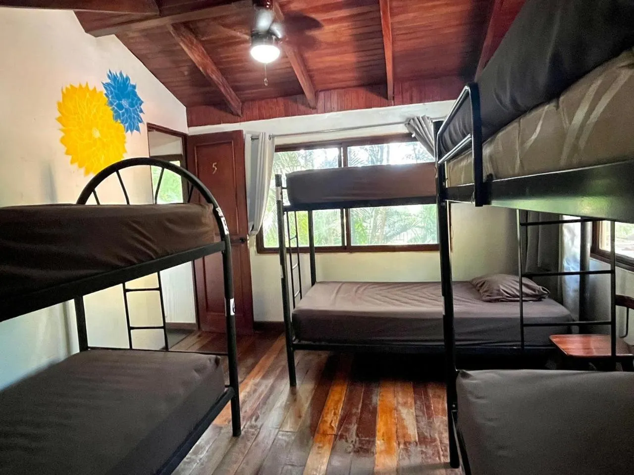 Photo of the whole room, Bed in Tamarindo Backpackers