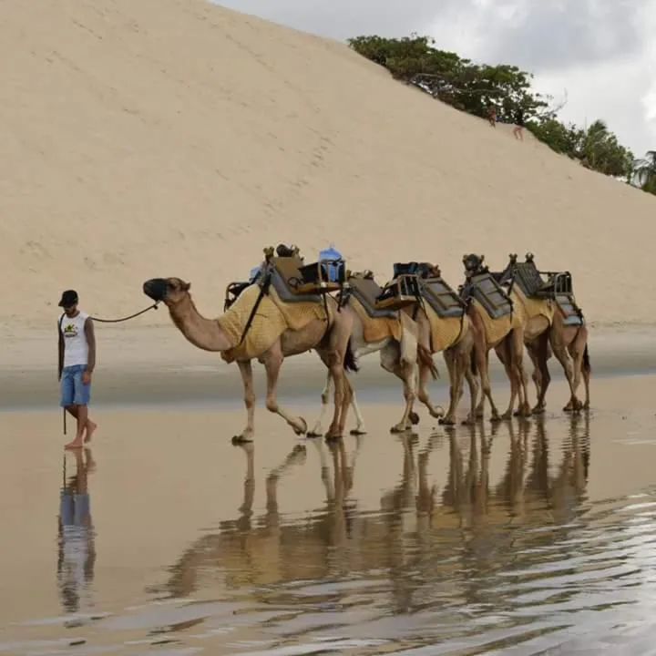 Atlântico Flat 104 e 116