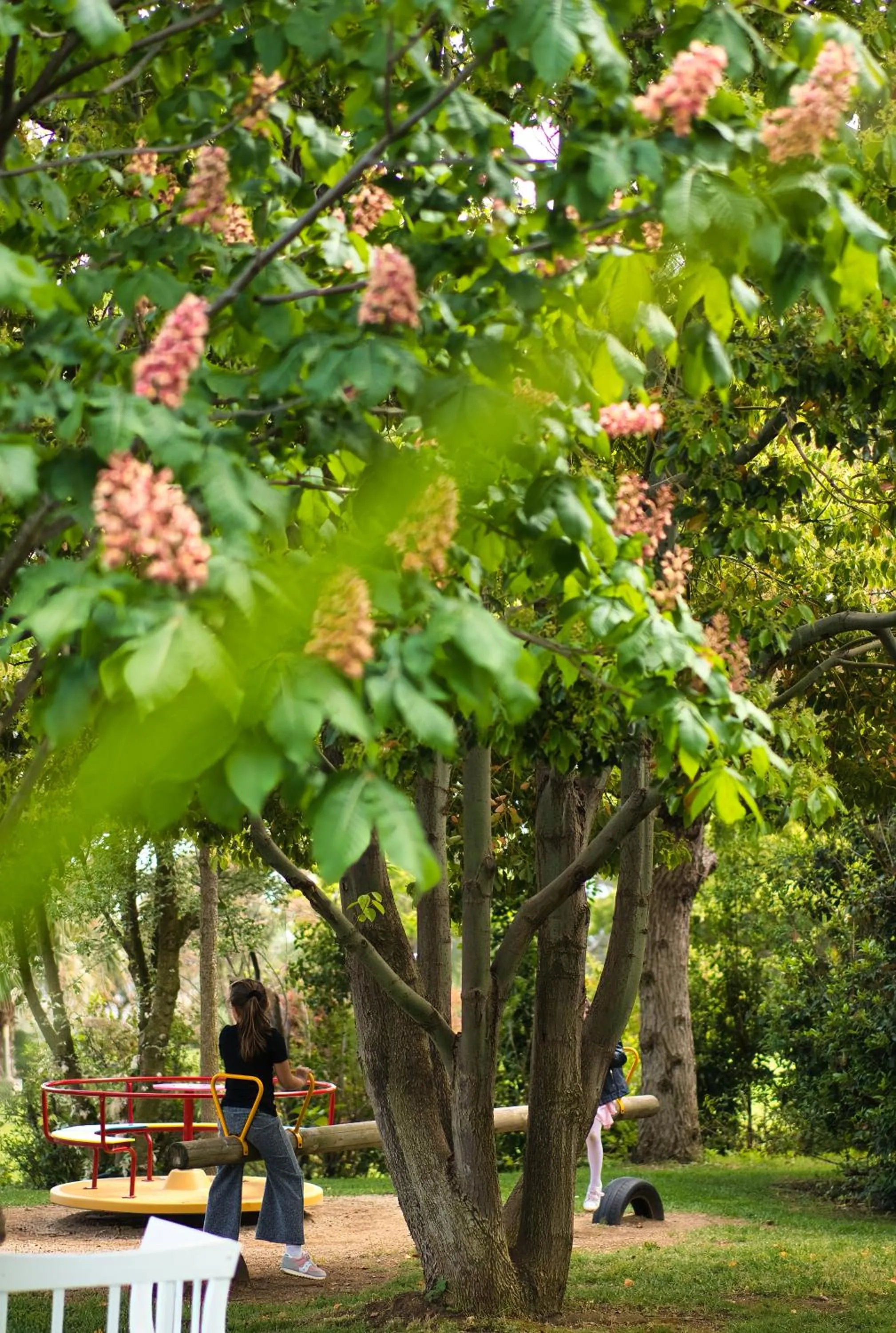Garden in Kora Park Resort