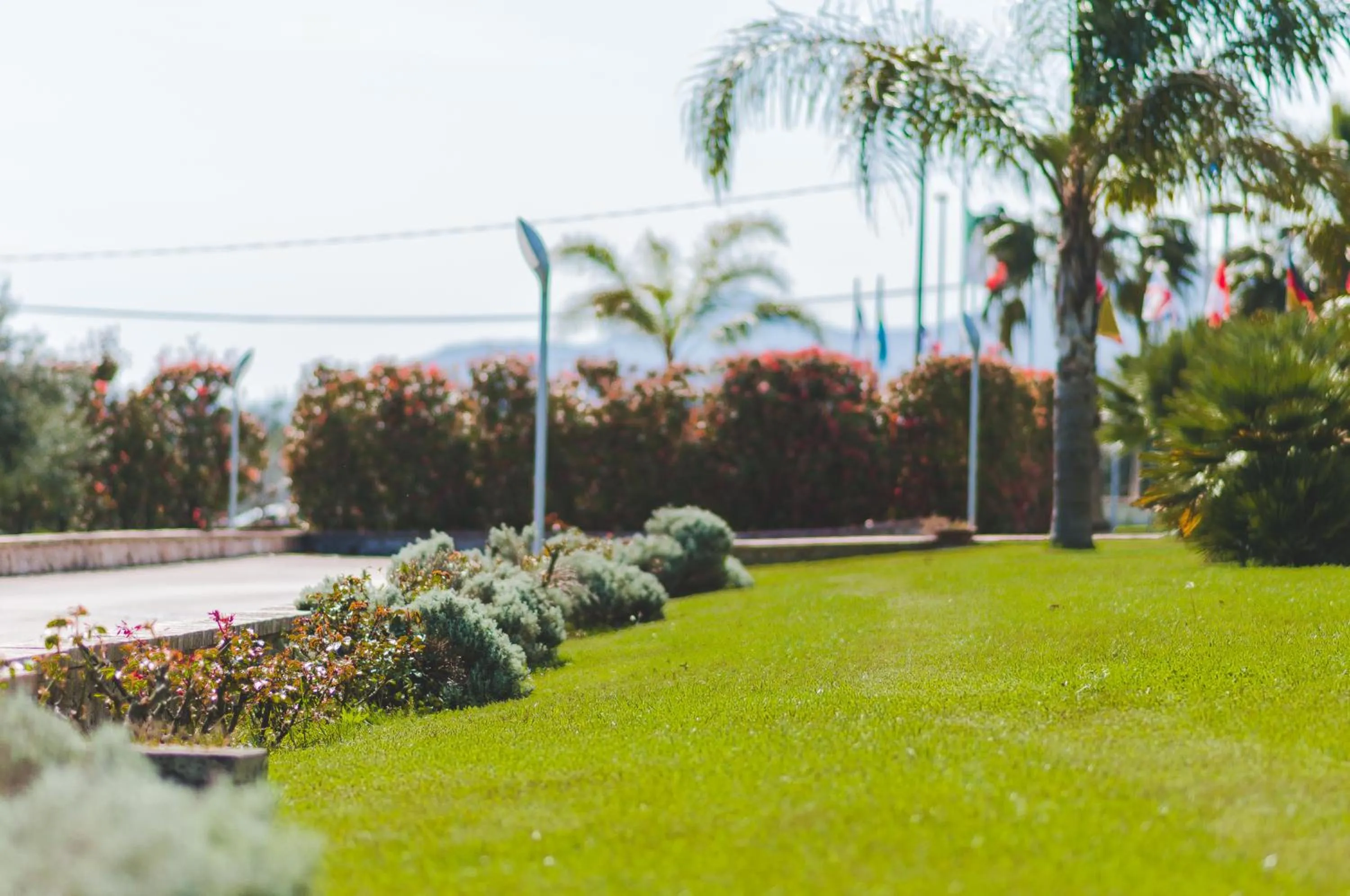 Garden in Kora Park Resort