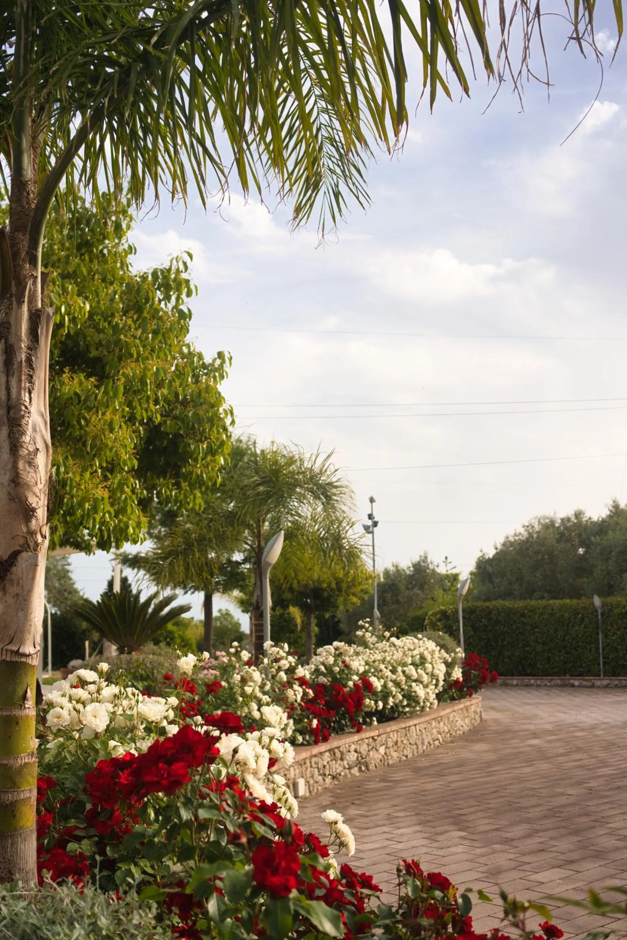 Natural landscape in Kora Park Resort