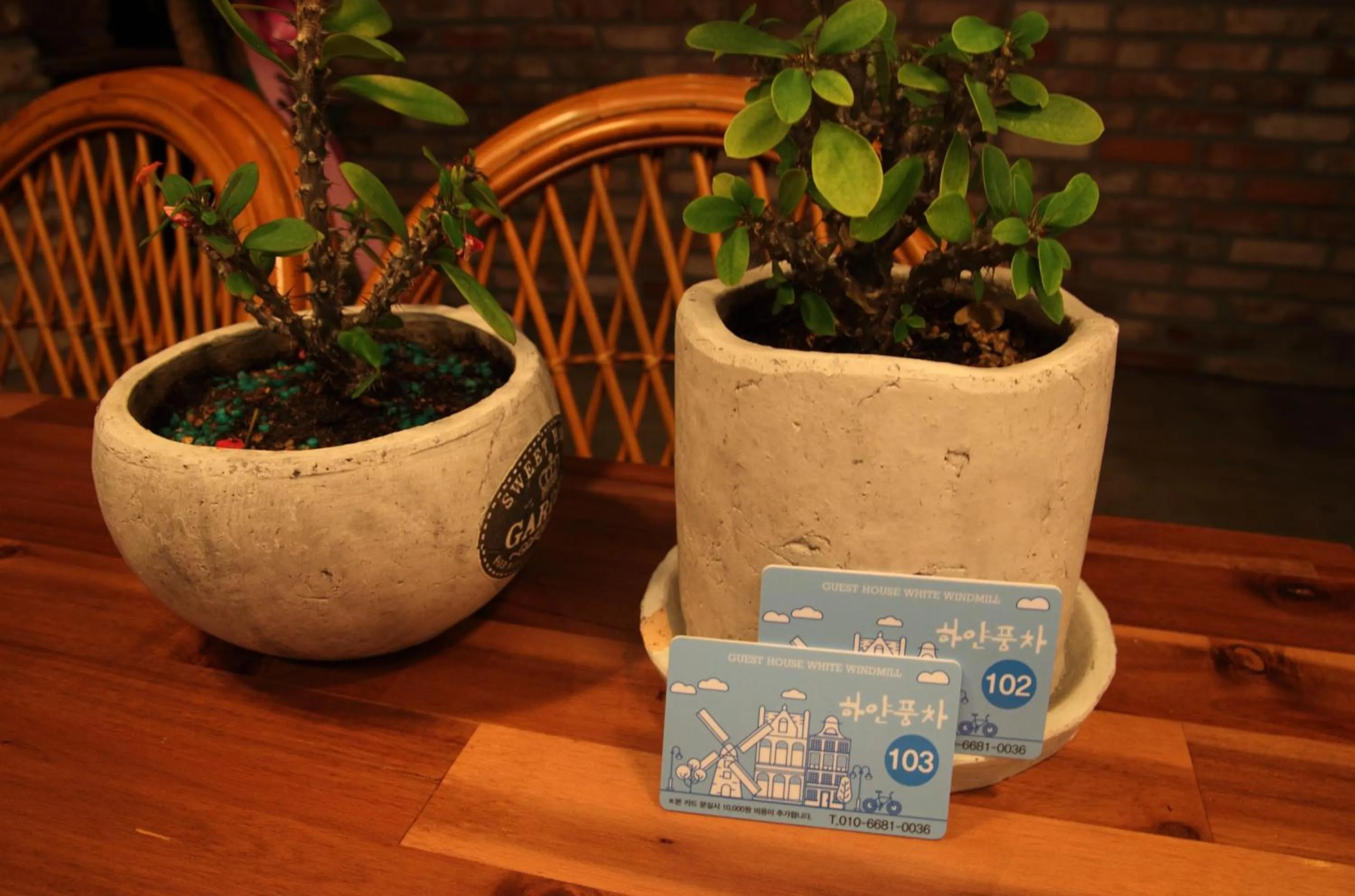 White Windmill Guesthouse