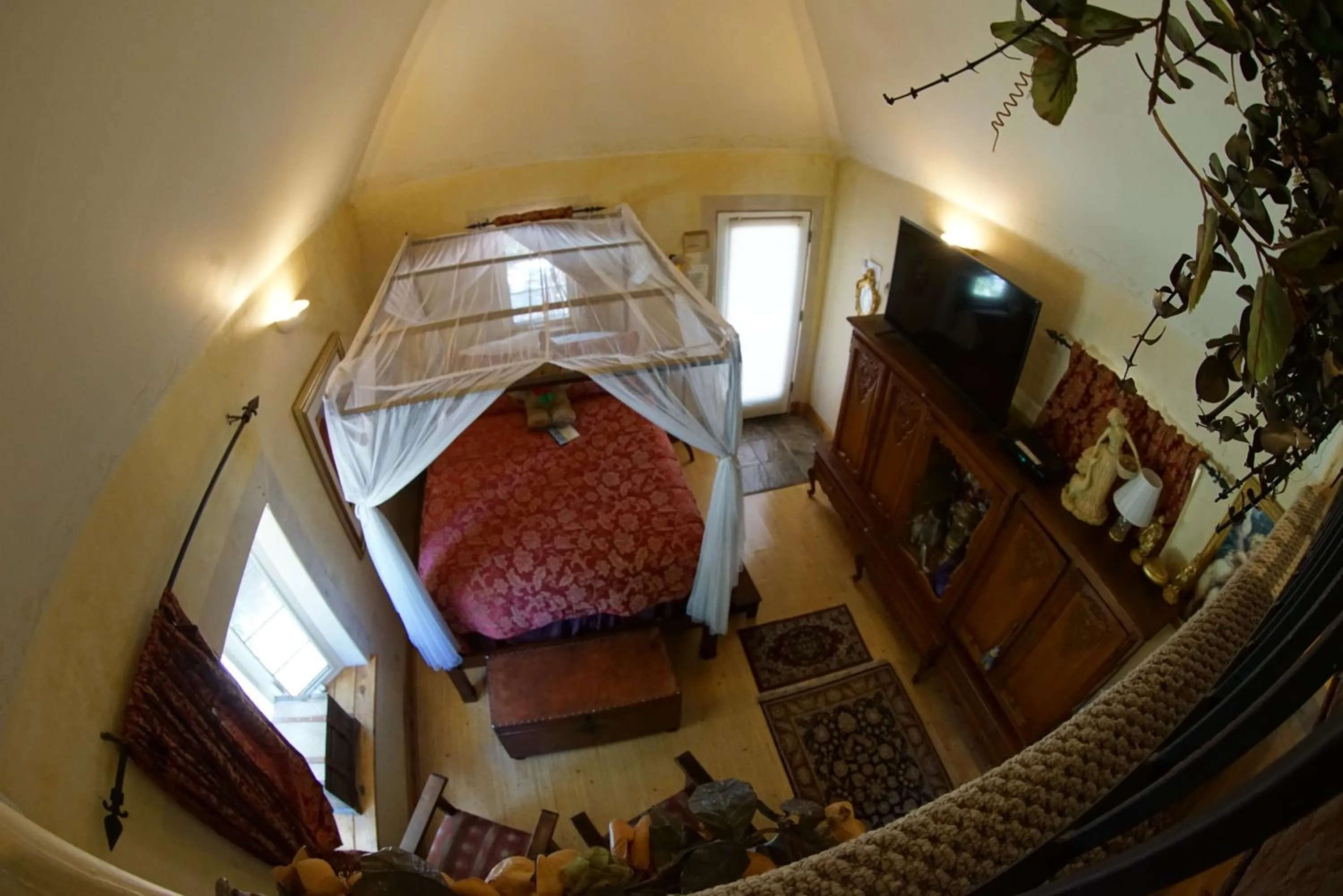 FLEUR DE LAC EUROPERAN INn