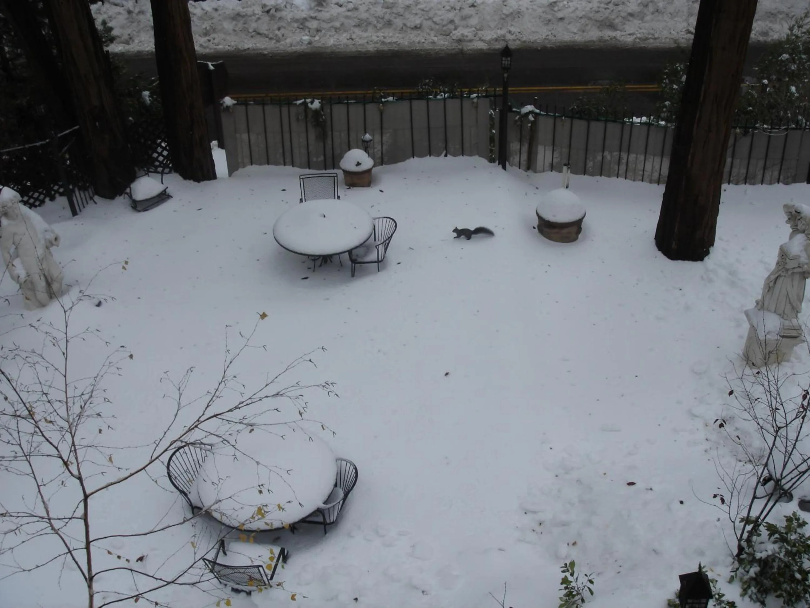 Patio in FLEUR DE LAC EUROPERAN INn