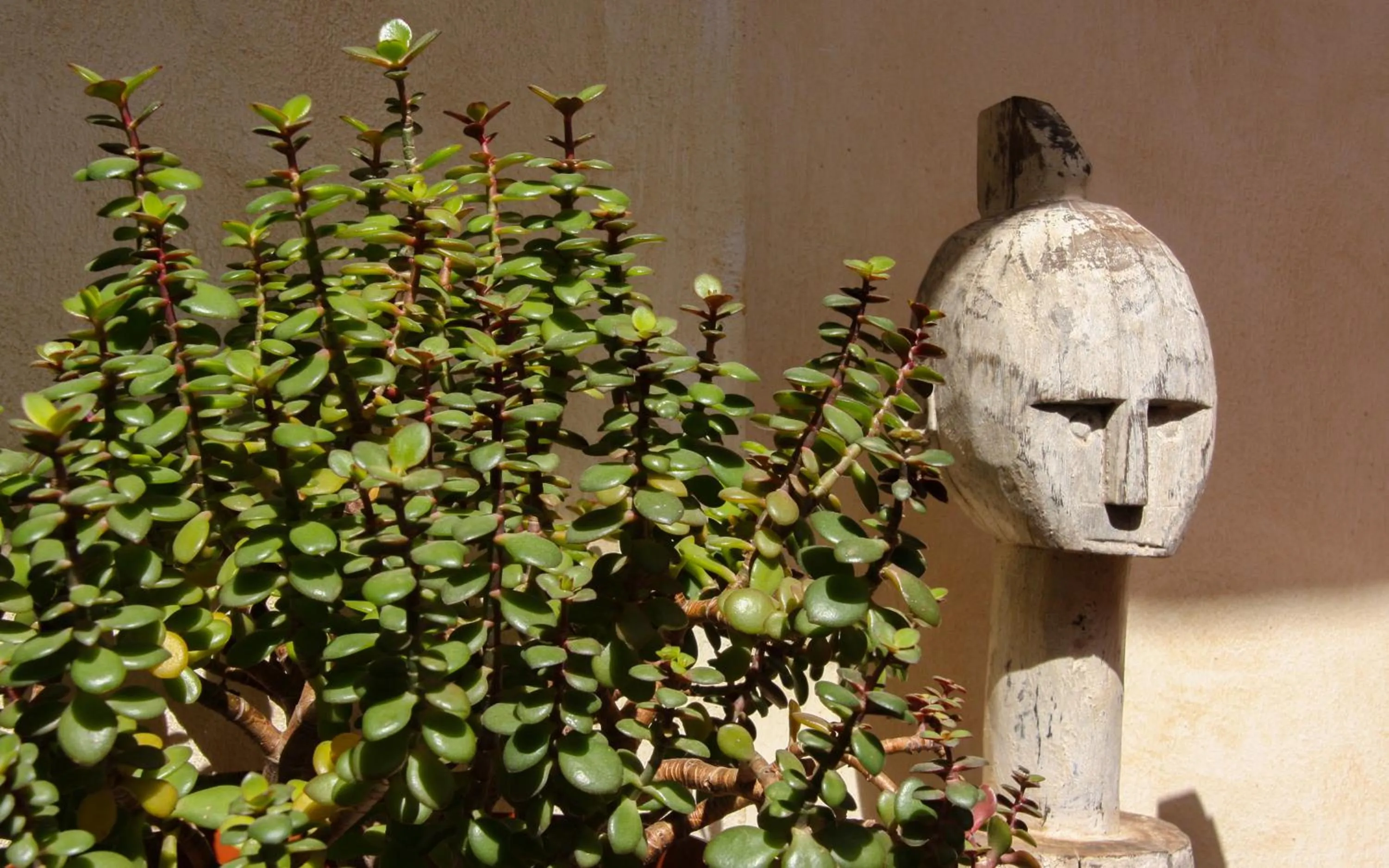 Decorative detail in Room Tarifa