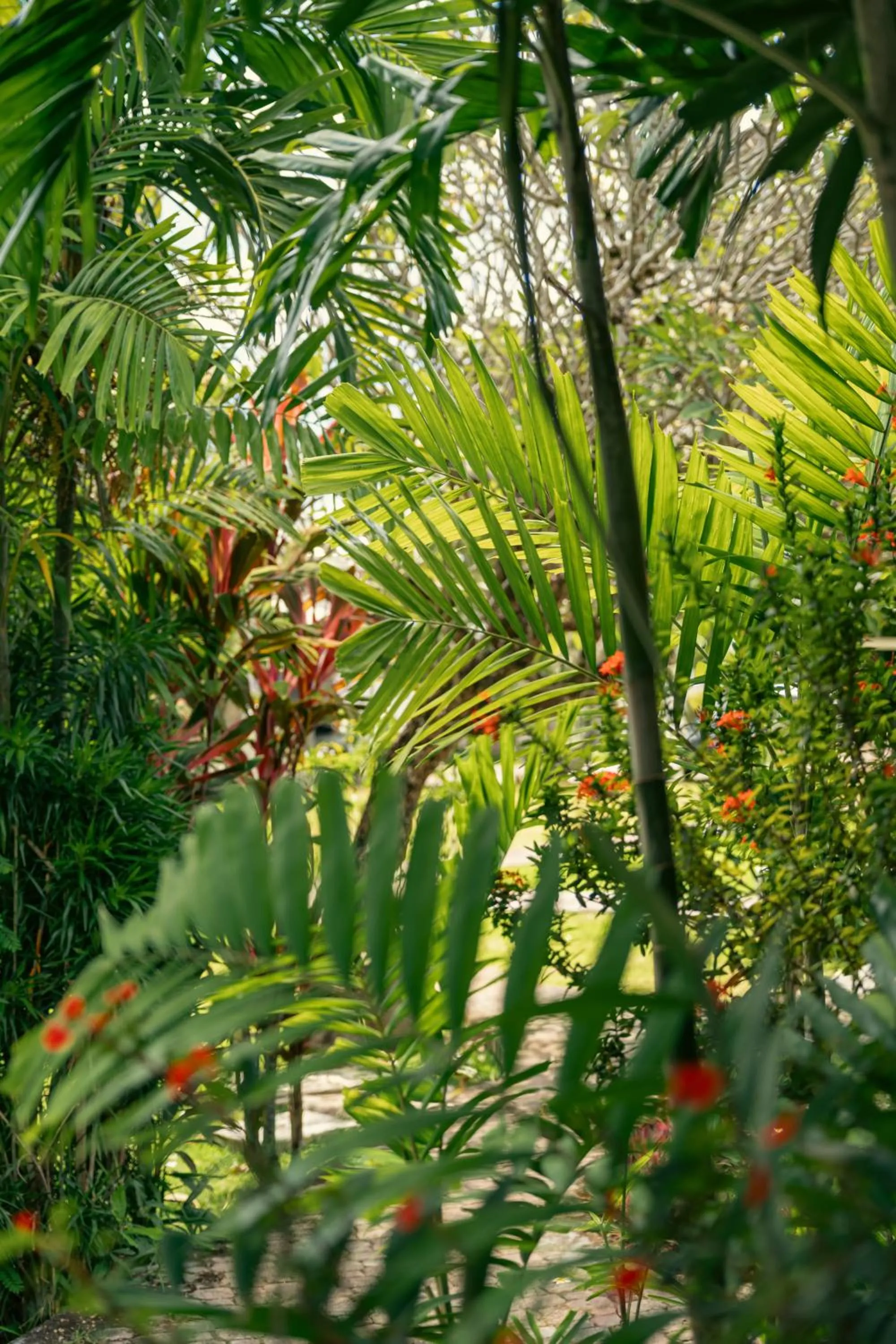 Beau Vallon Bungalows