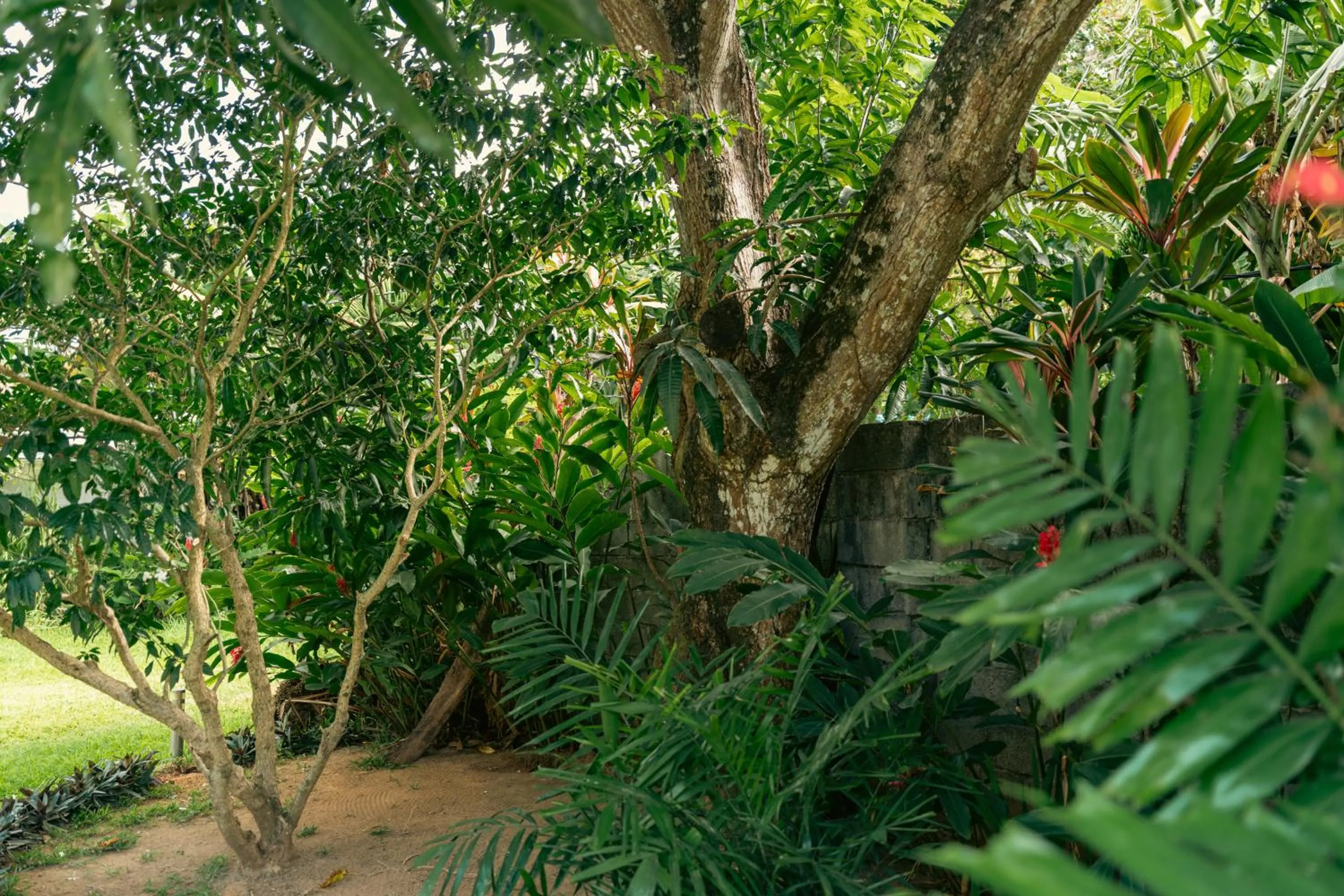 Beau Vallon Bungalows