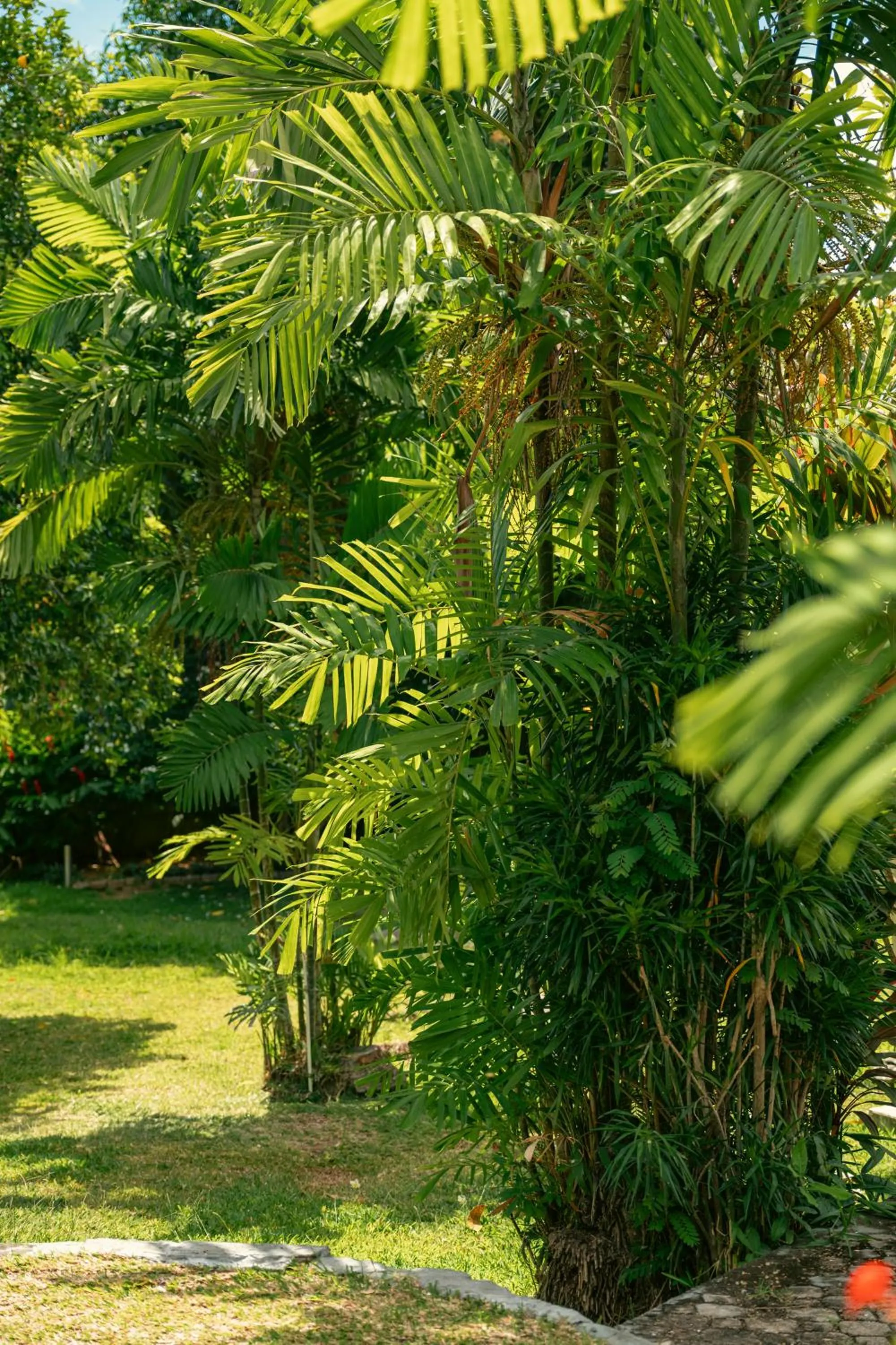 Beau Vallon Bungalows