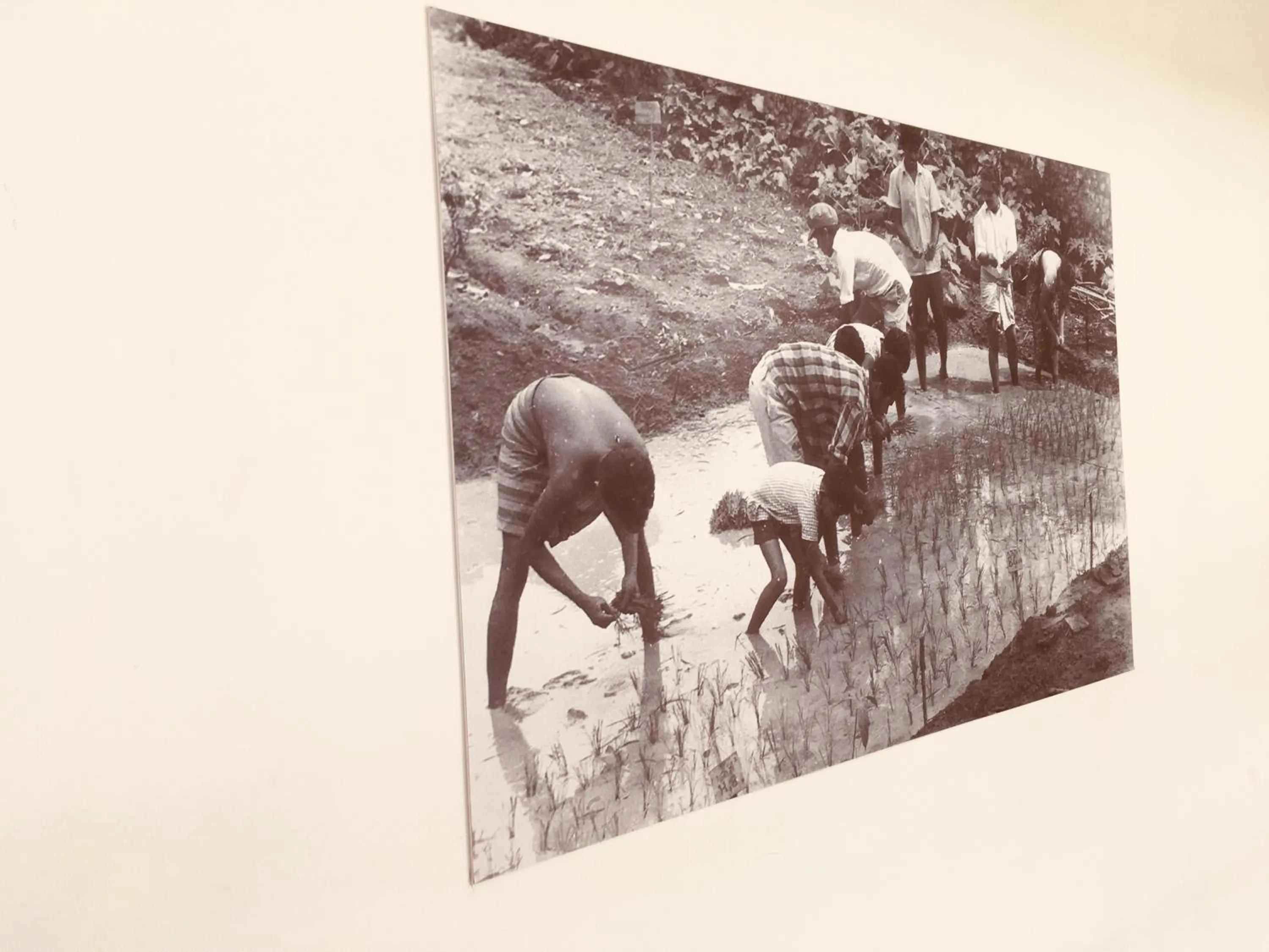 Sarvodaya Samma Vaasa Residence