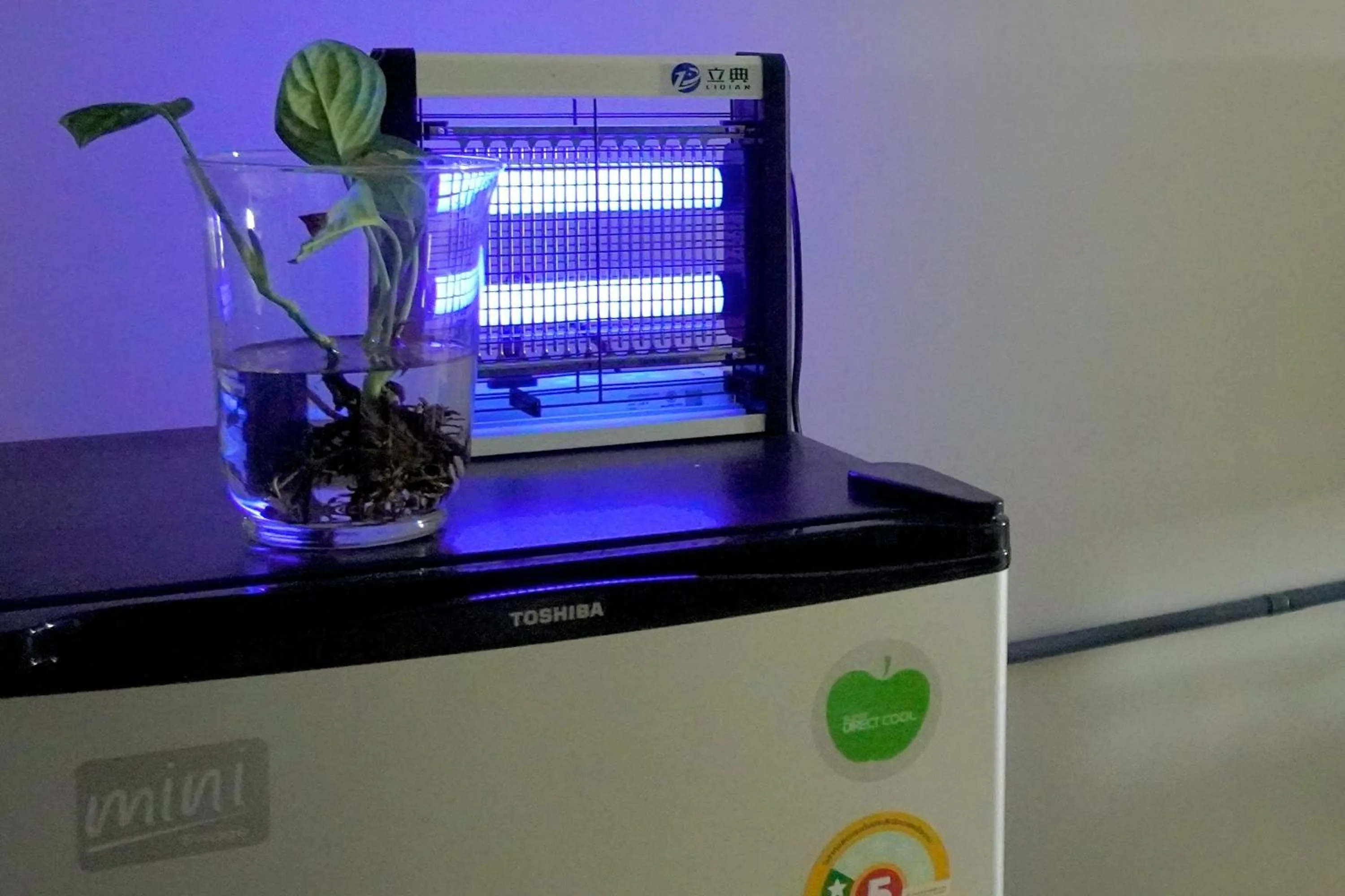 Balcony/Terrace in BW Thai Art Style Hotel