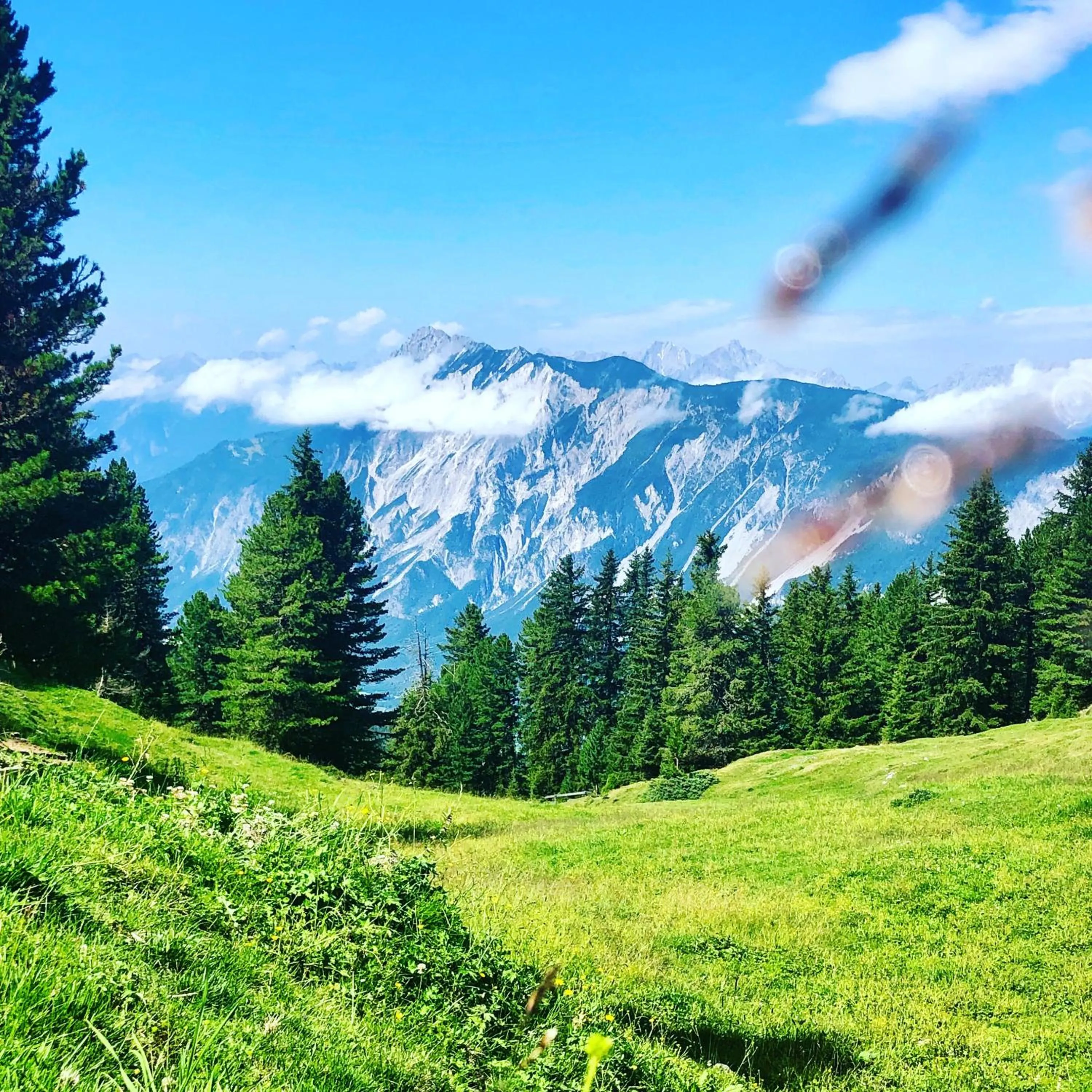 Spring in Apart-Elisabeth