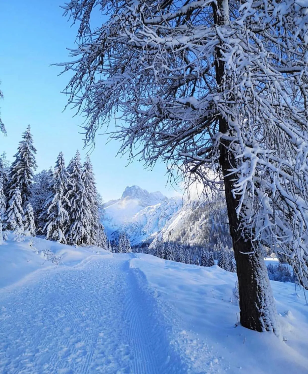 Winter in Apart-Elisabeth