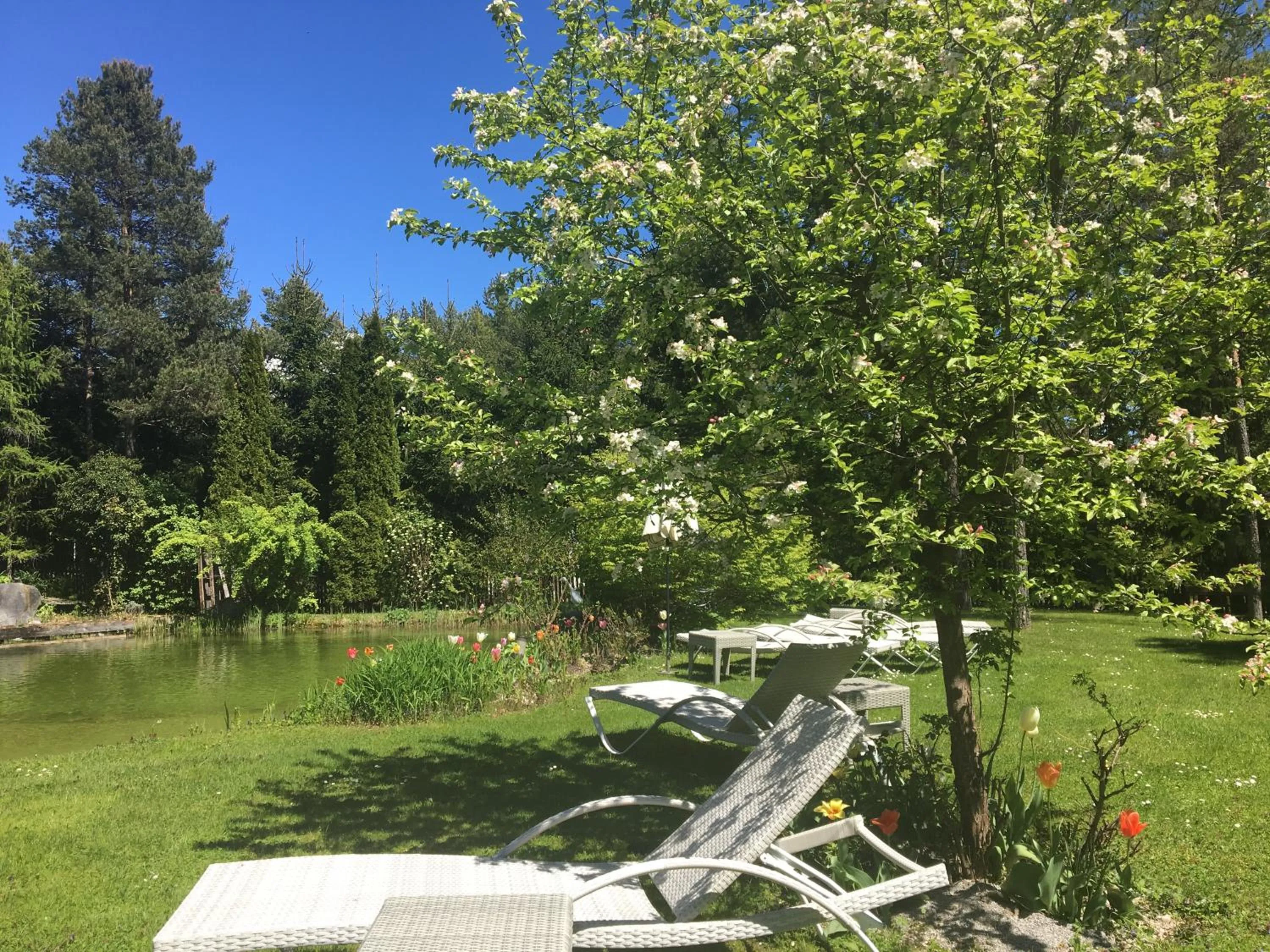 Garden in Apart-Elisabeth