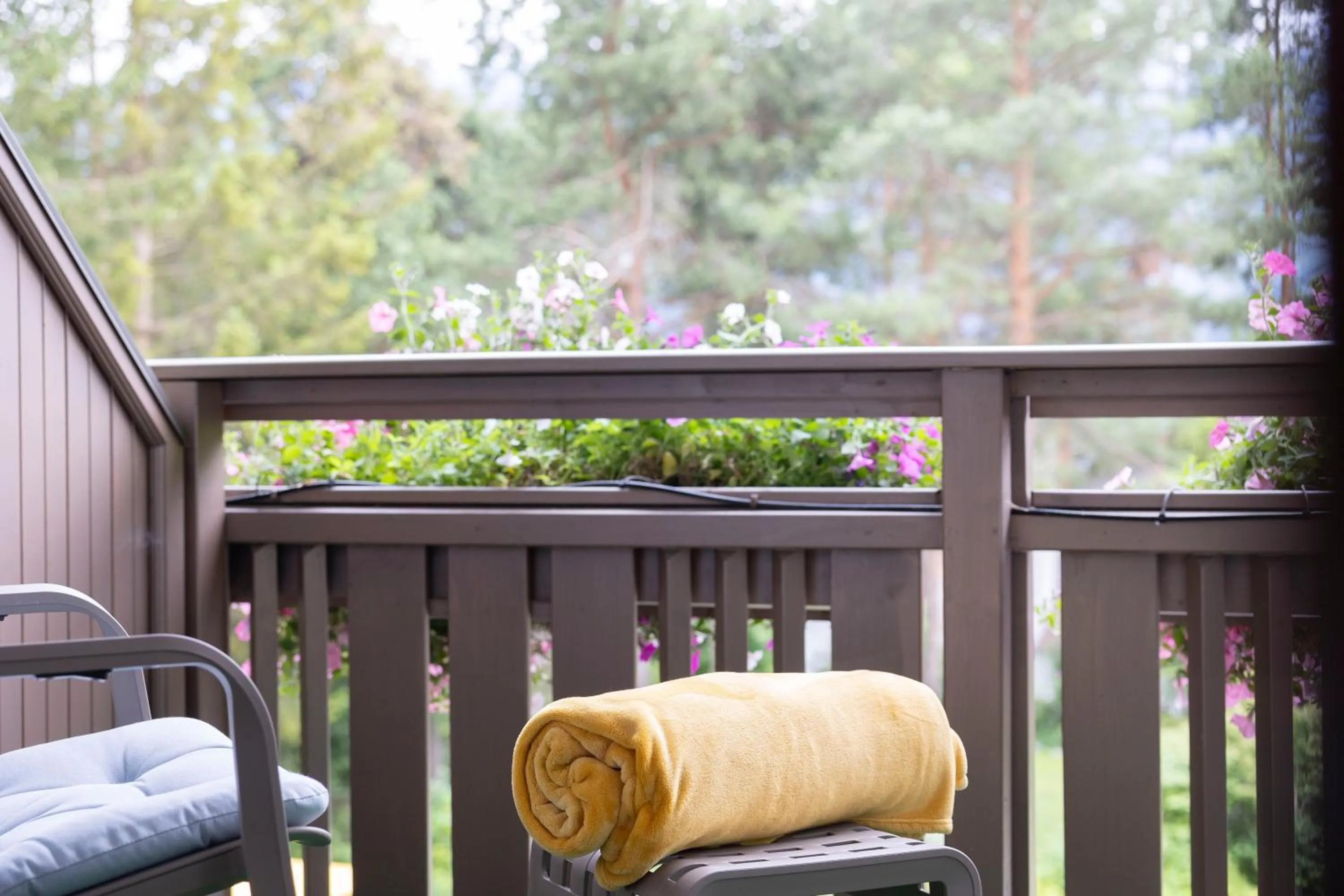 View (from property/room) in Apart-Elisabeth