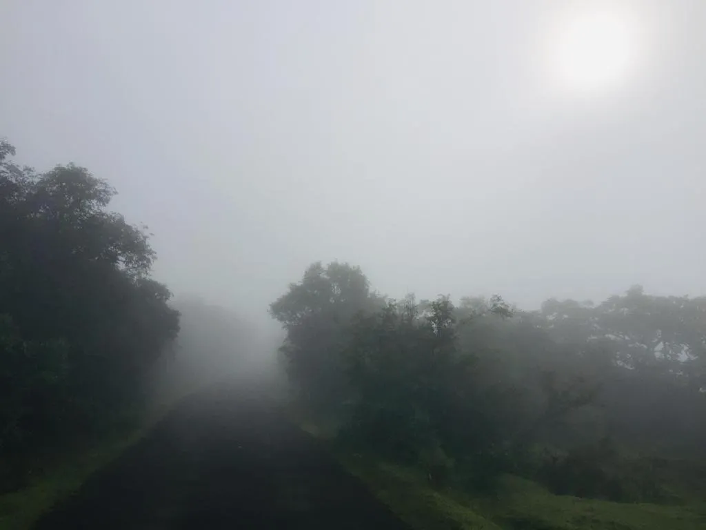 Natural landscape in Konark Villa