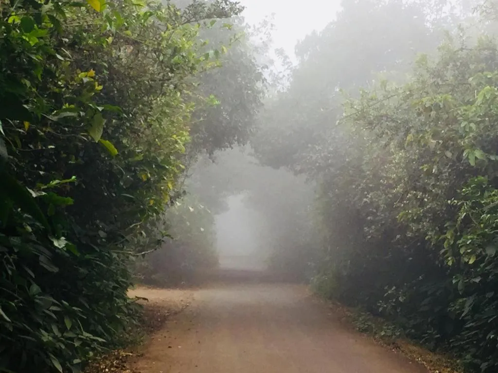 Natural landscape in Konark Villa
