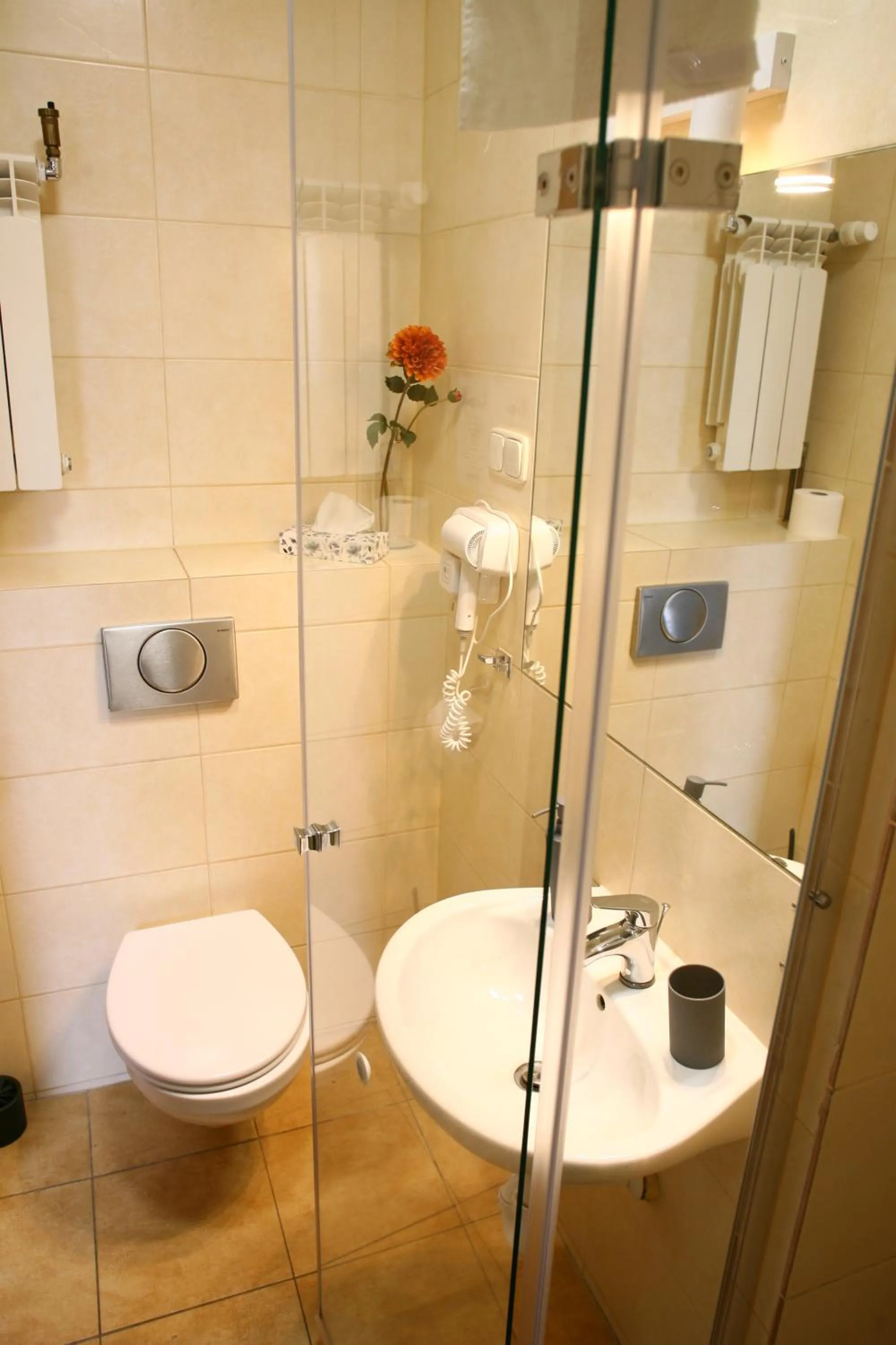 Toilet in Miodosytnia Aparthotel