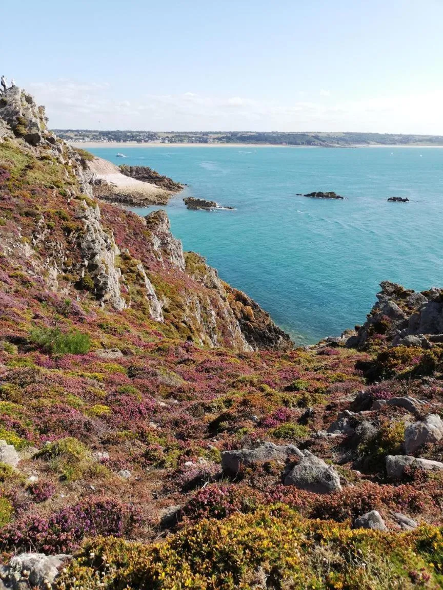 Beach in ibis Saint Brieuc Yffiniac