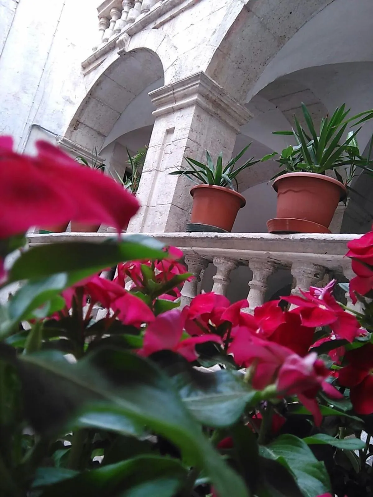 Facade/entrance in Le Bifore B&B