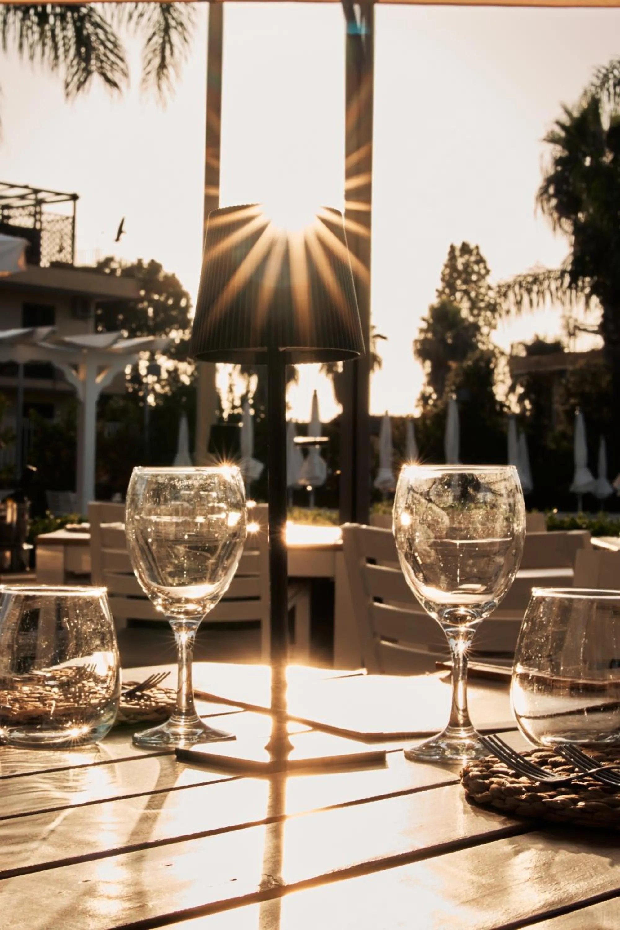 Patio in Hotel Premiere