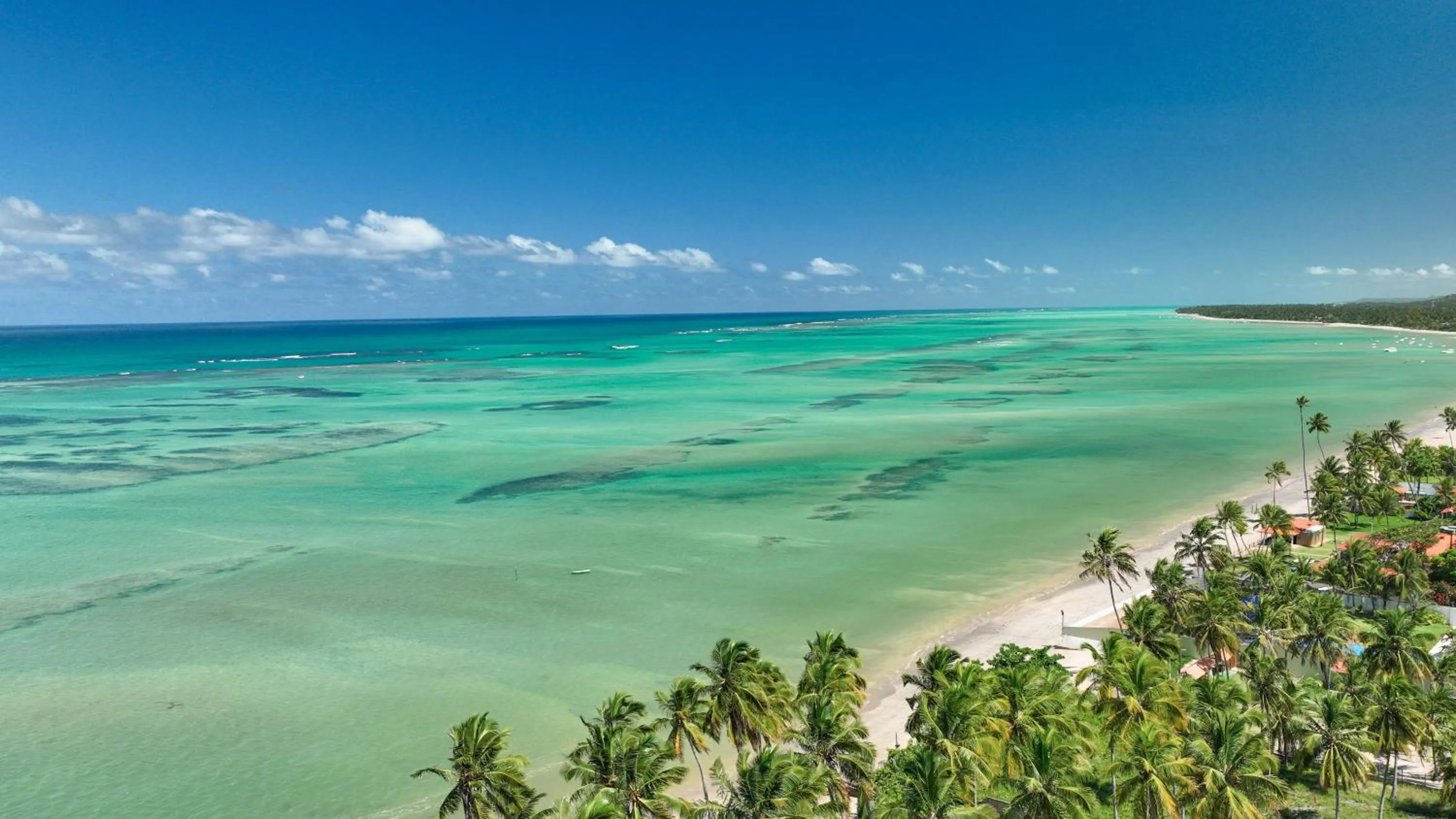 Beach in Salinas Maragogi All Inclusive Resort