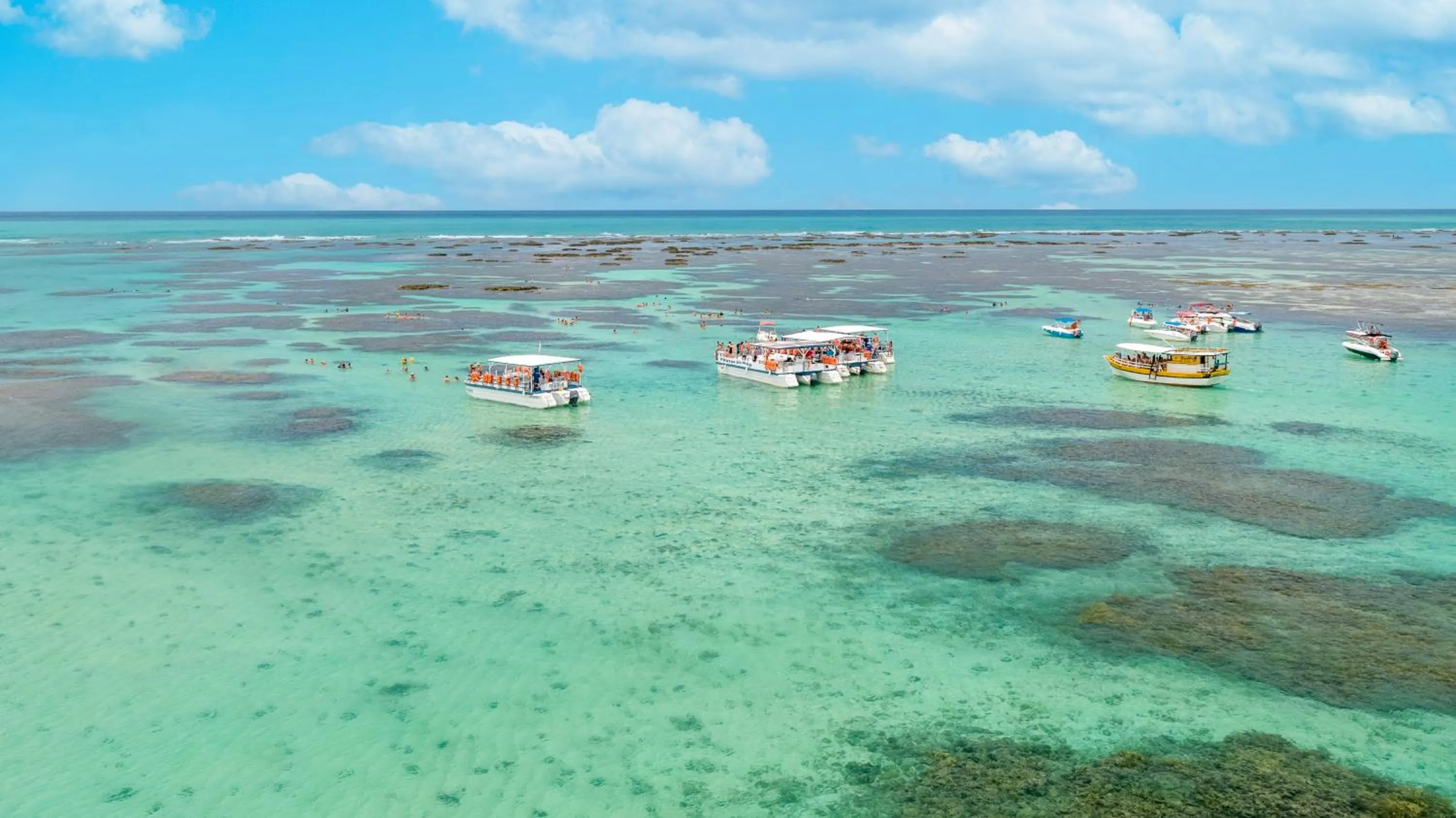 Natural landscape in Salinas Maragogi All Inclusive Resort
