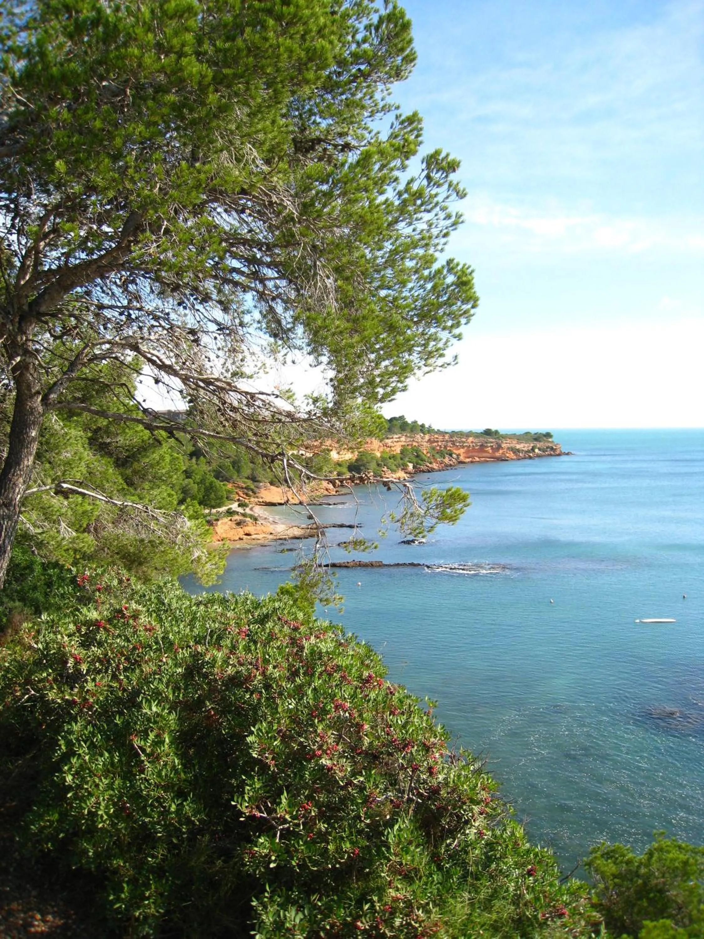 Area and facilities in FERGUS Cap Roig