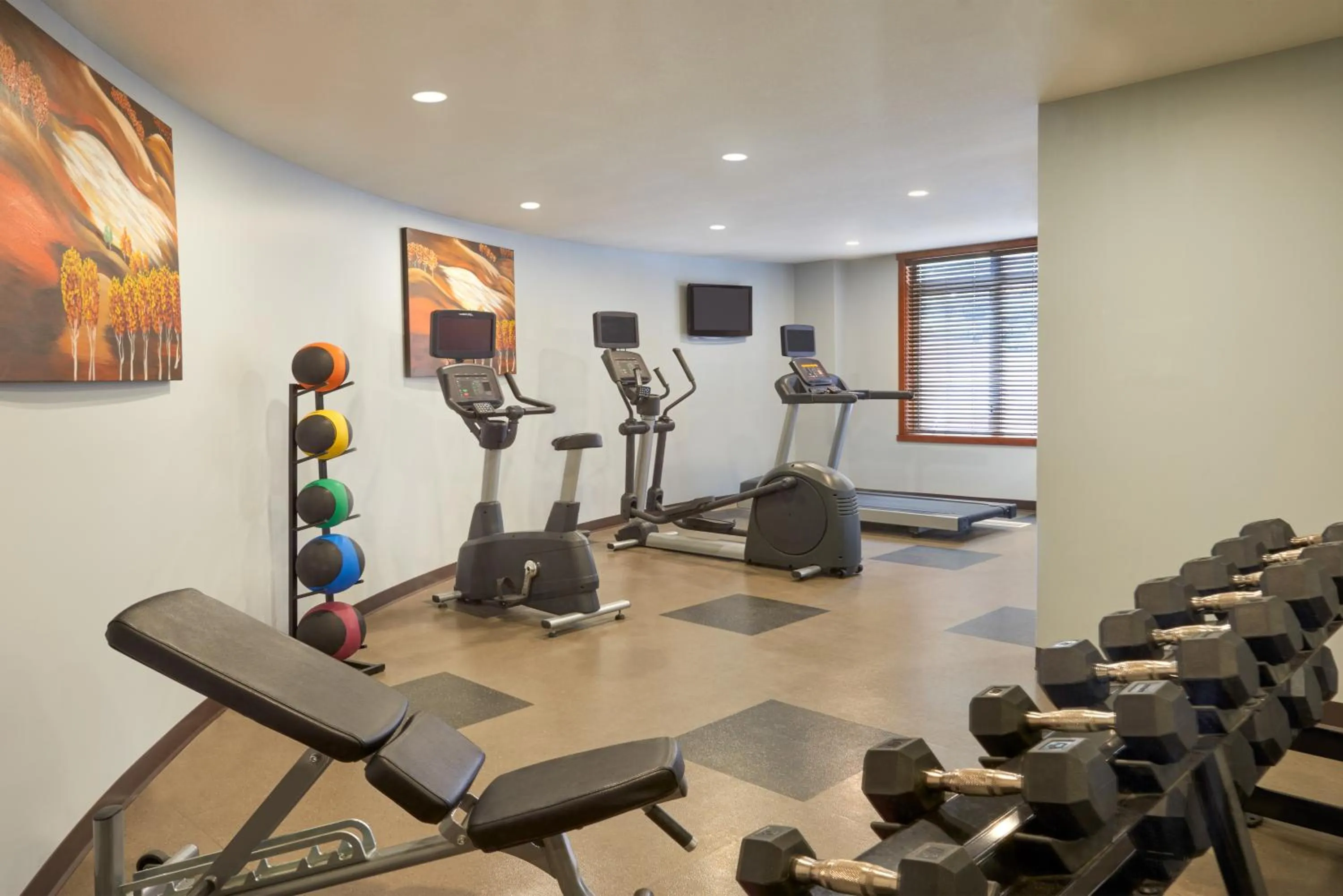 Fitness centre/facilities in Stoneridge Mountain Resort