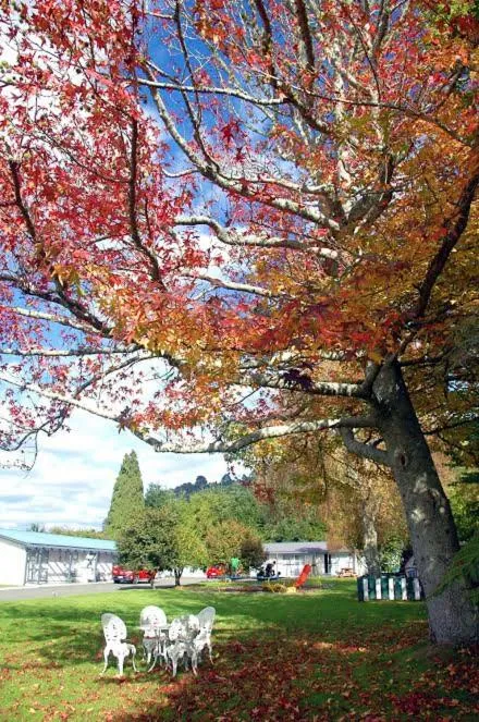 Day in Fairy Springs Motel