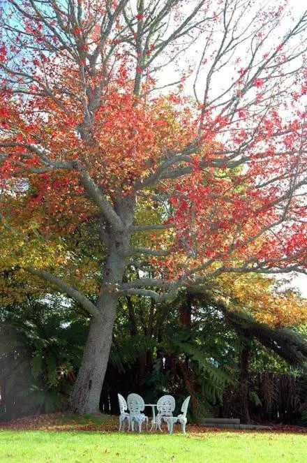 Day in Fairy Springs Motel