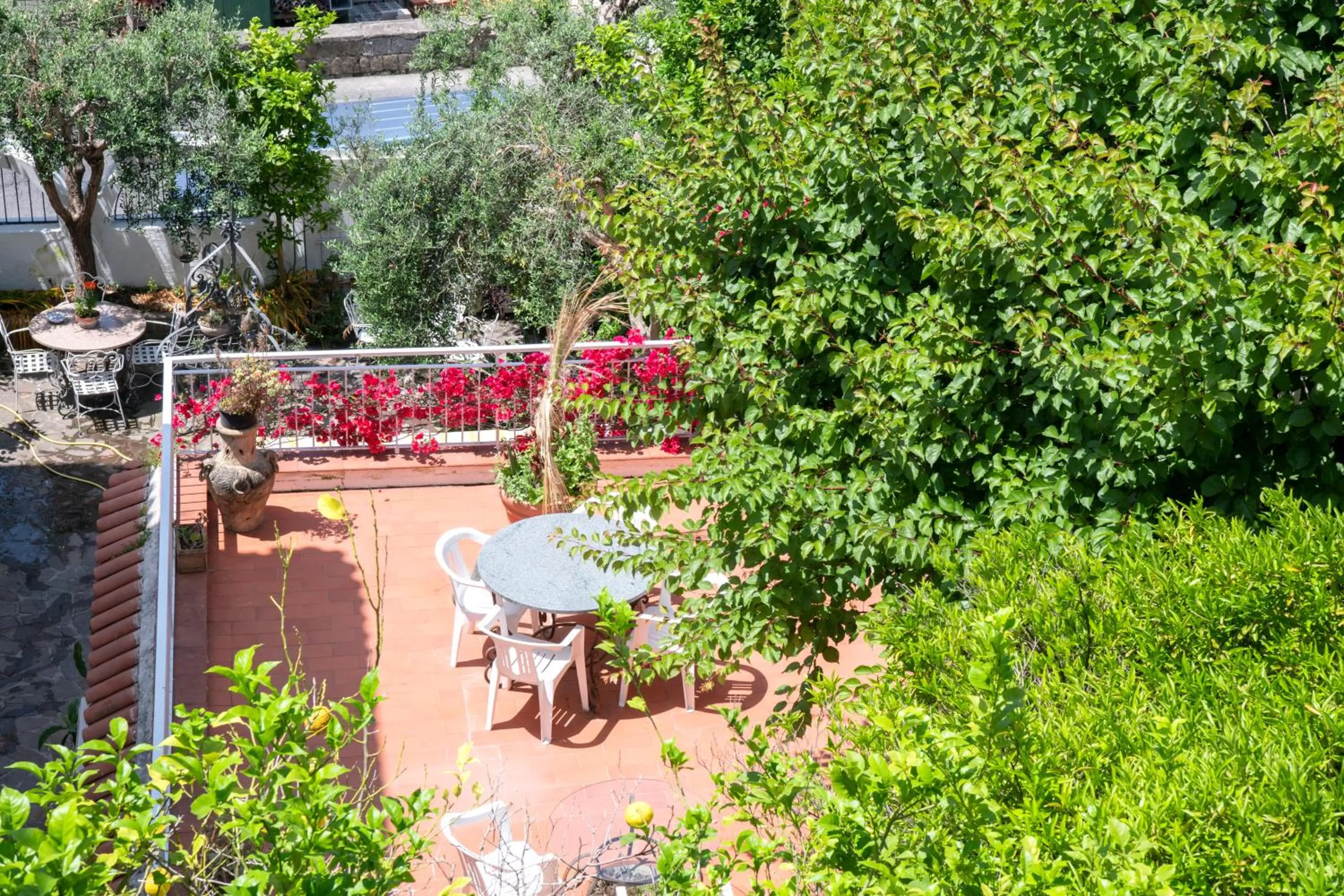 Garden in Hotel Candia