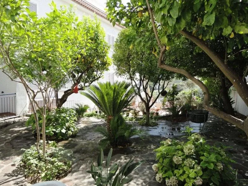 Garden in Hotel Candia