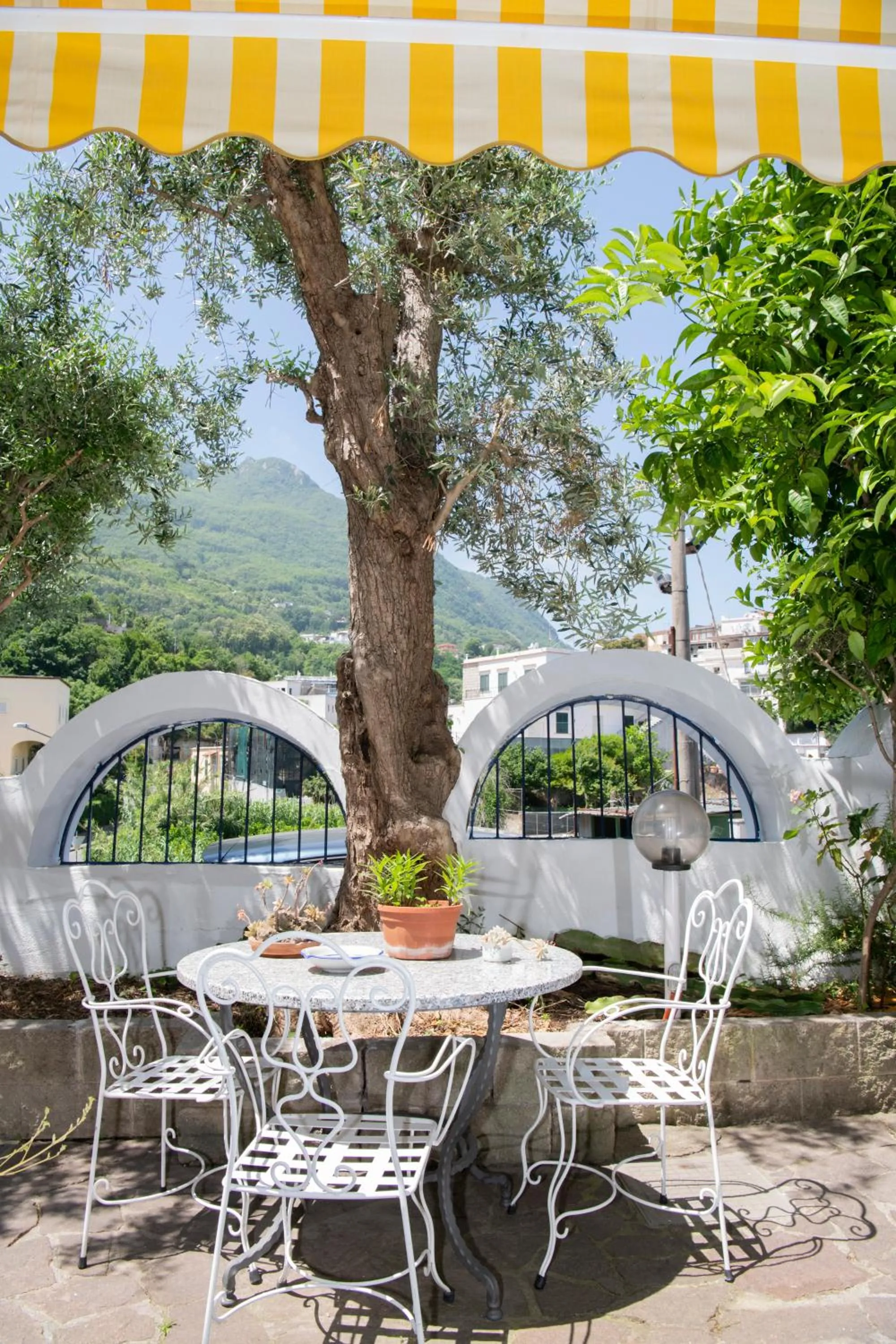 Garden in Hotel Candia